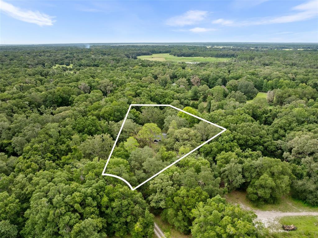 Archer, Florida, 32618, United States, 4 Bedrooms Bedrooms, ,3 BathroomsBathrooms,Residential,For Sale,1902642