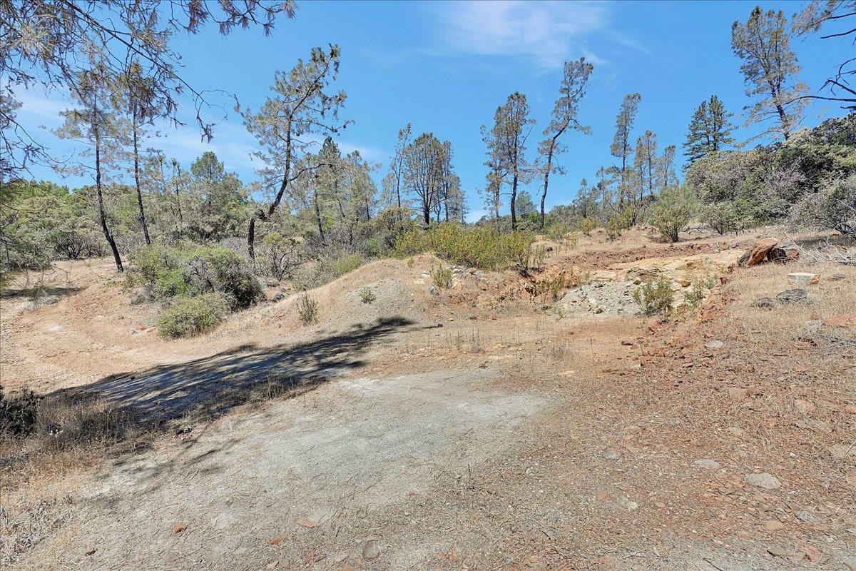 Oregon House, California, 95962, United States, ,Land,For Sale,1975767