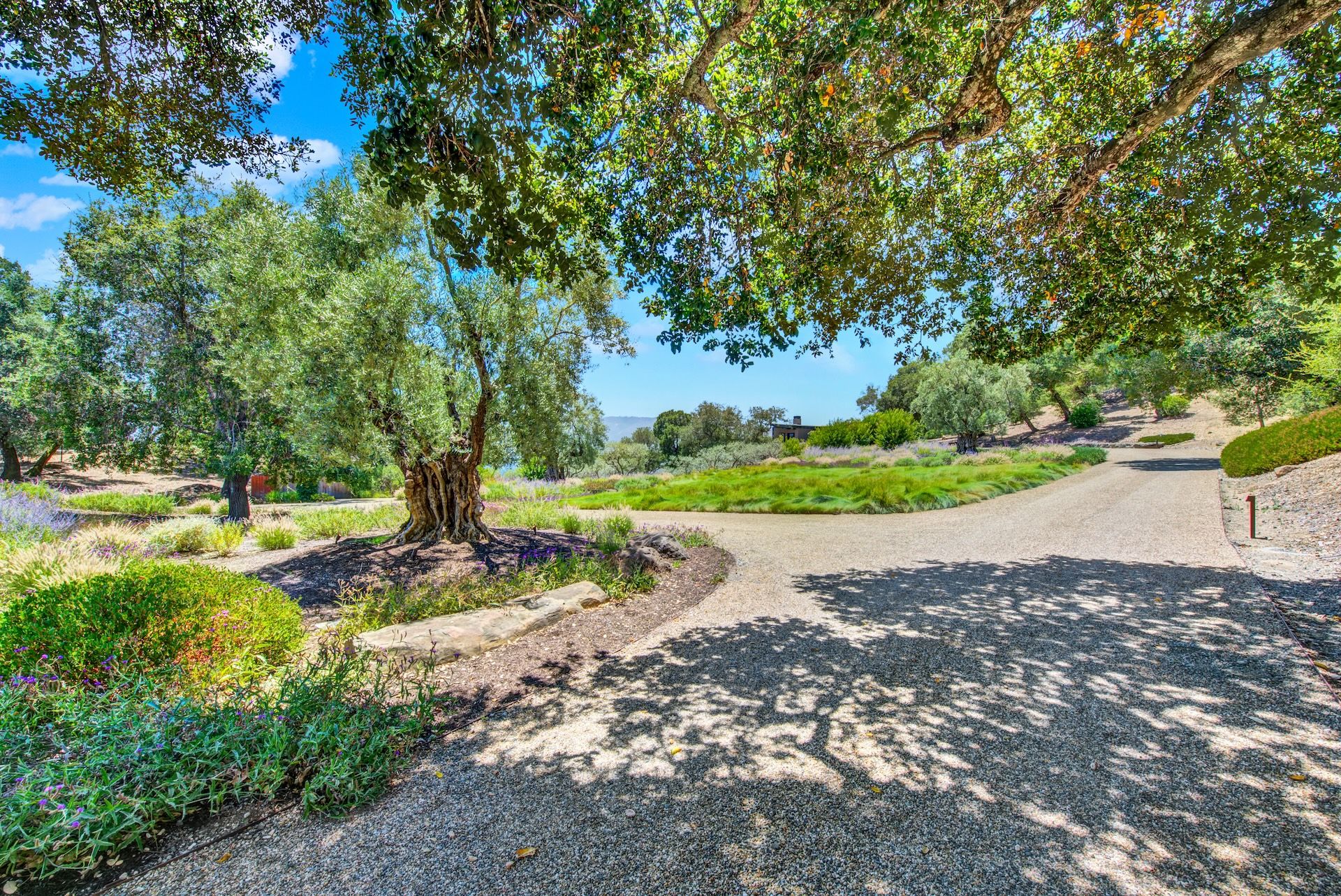  Exceptional Napa Valley Estate Set On 40 Private Acres - 物件實景