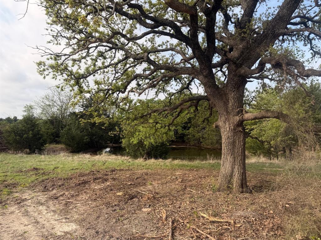 Alvord, Texas, 76225, United States, 2 Bedrooms Bedrooms, ,2 BathroomsBathrooms,Residential,For Sale,2033233