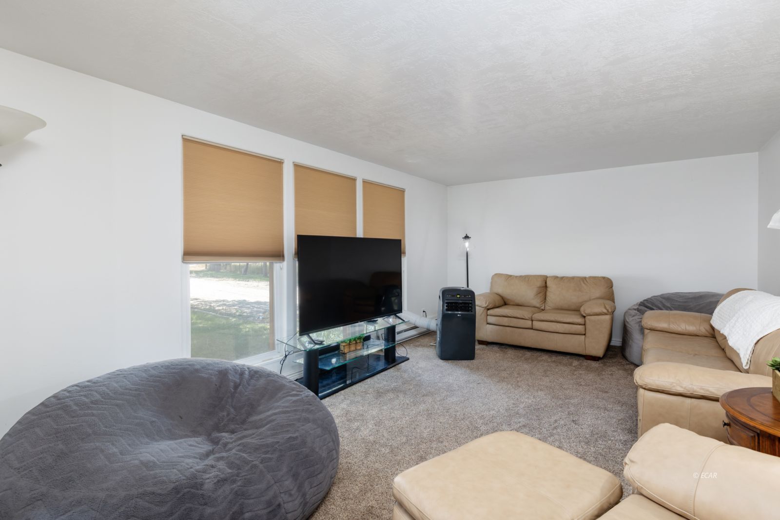 Lamoille, Nevada, 89828, United States, 4 Bedrooms Bedrooms, ,2 BathroomsBathrooms,Residential,For Sale,1897372