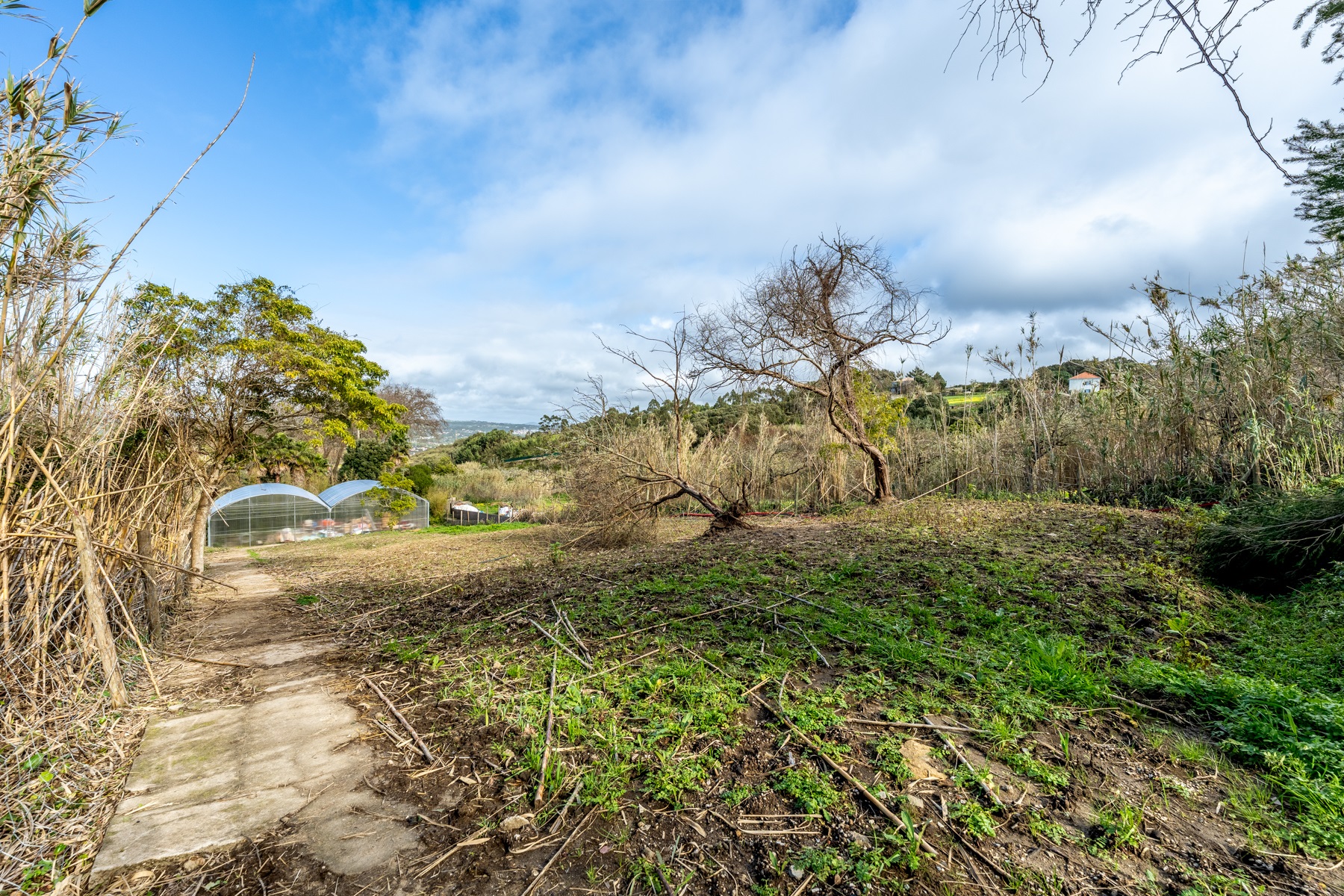  Real Estate, 1 bedrooms, for Sale - 物件實景