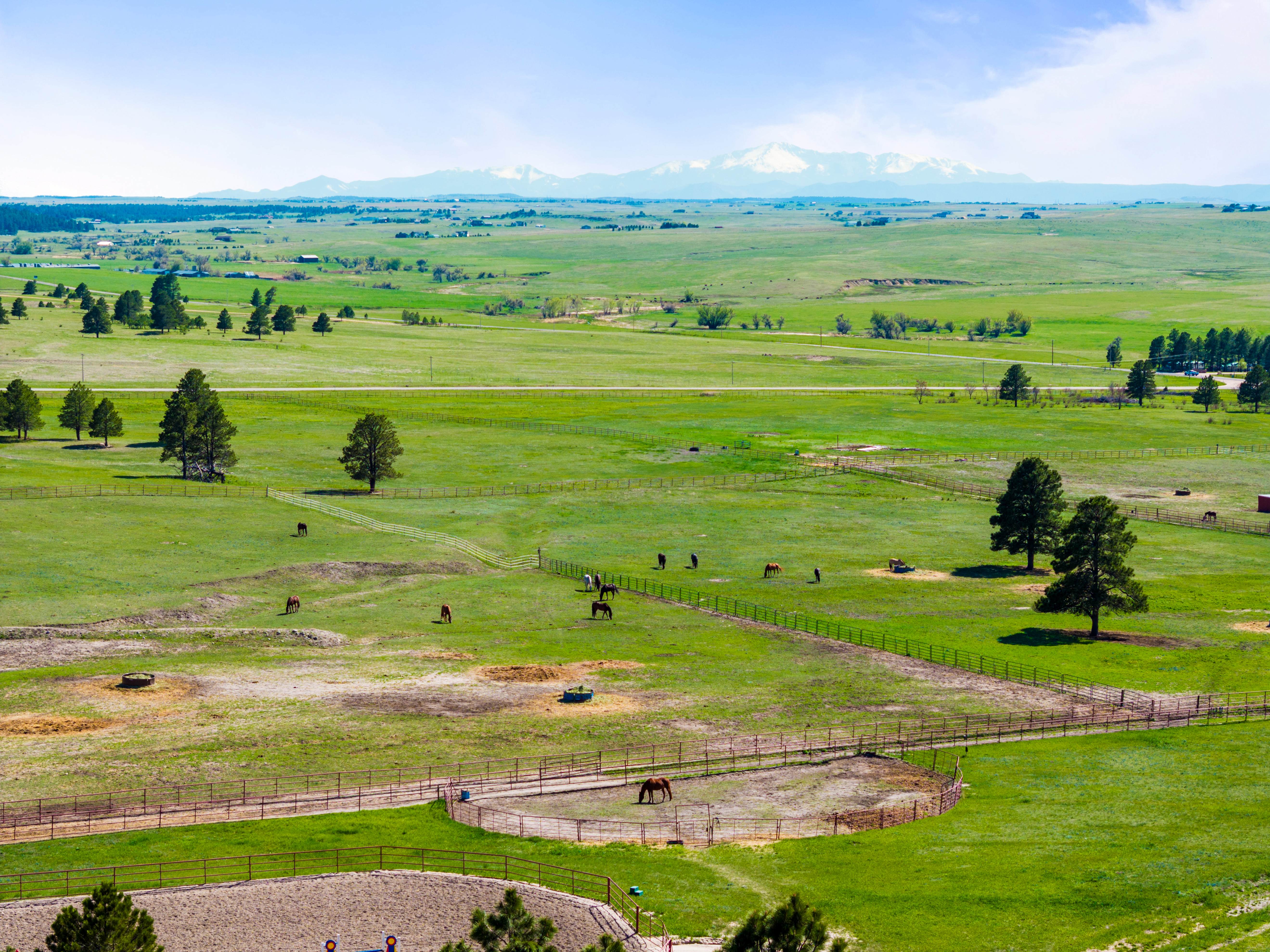  Discovery Farm: 157 Acres of Mid-Century Design and Equestrian Excellence - 物件實景