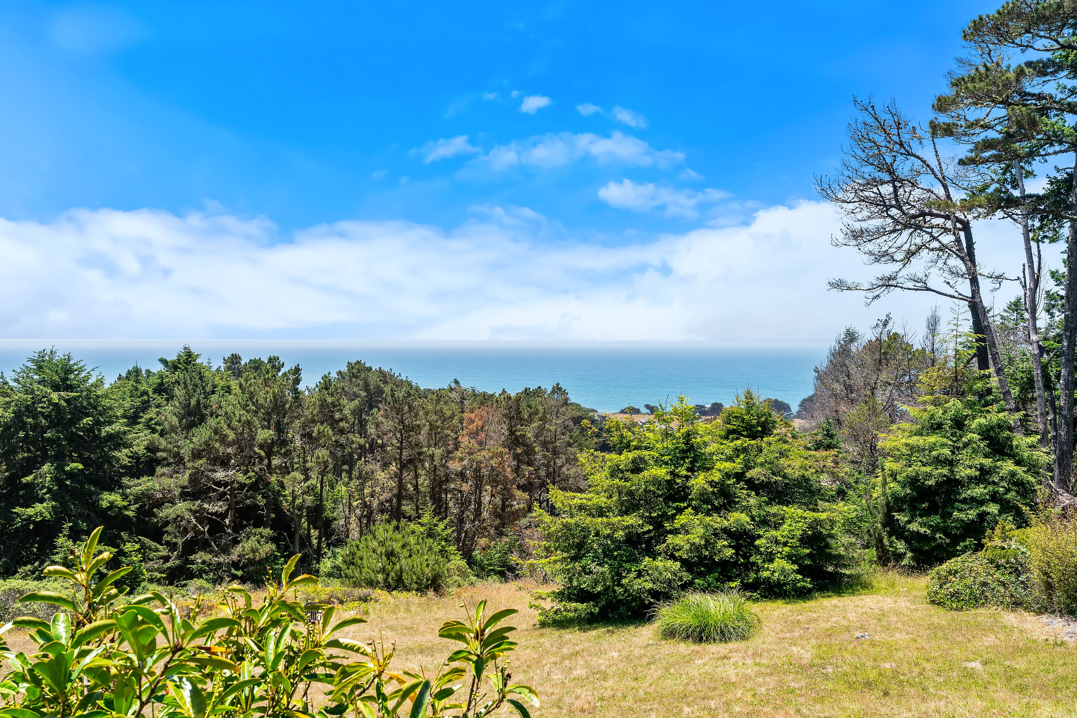  35926 Seaward Ranch, The Sea Ranch, CA 95497 - 物件實景