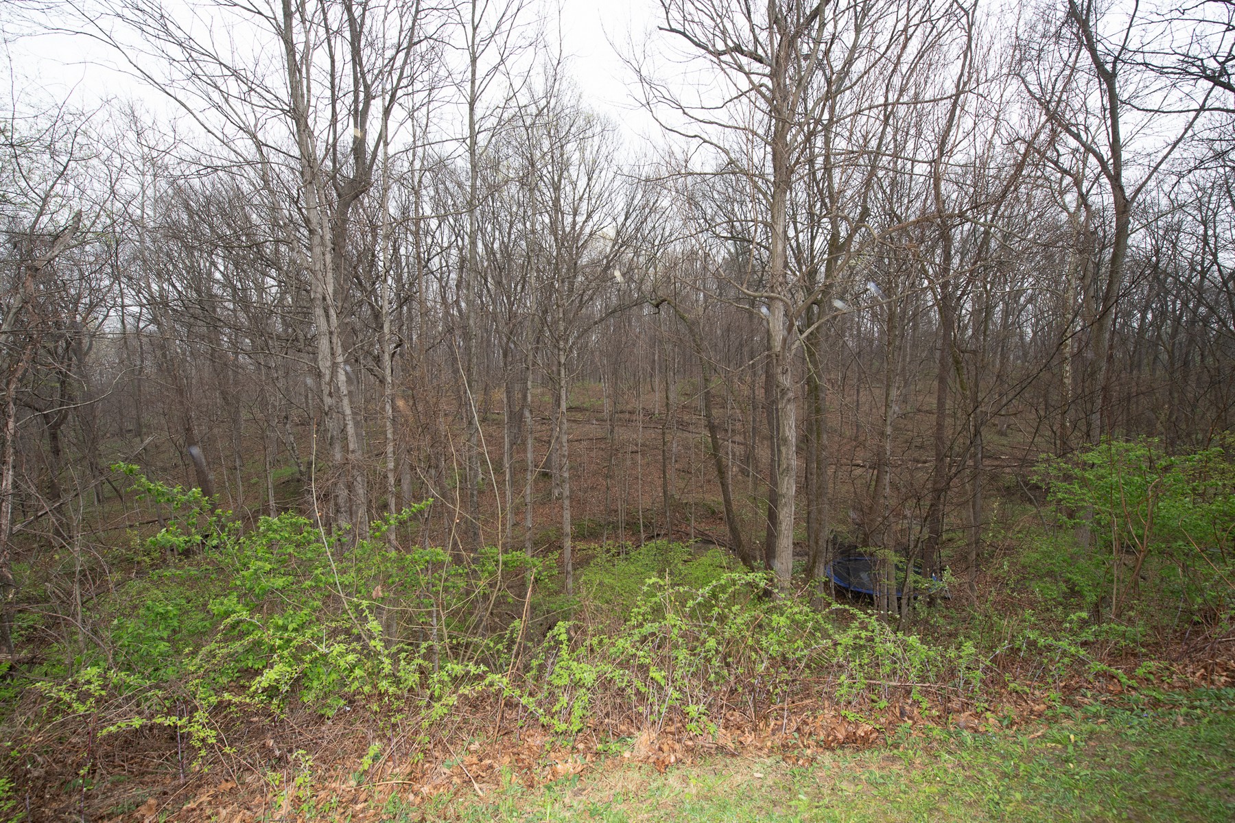  Stunning Ranch on a Spacious Lot in West Lafayette - 物件實景