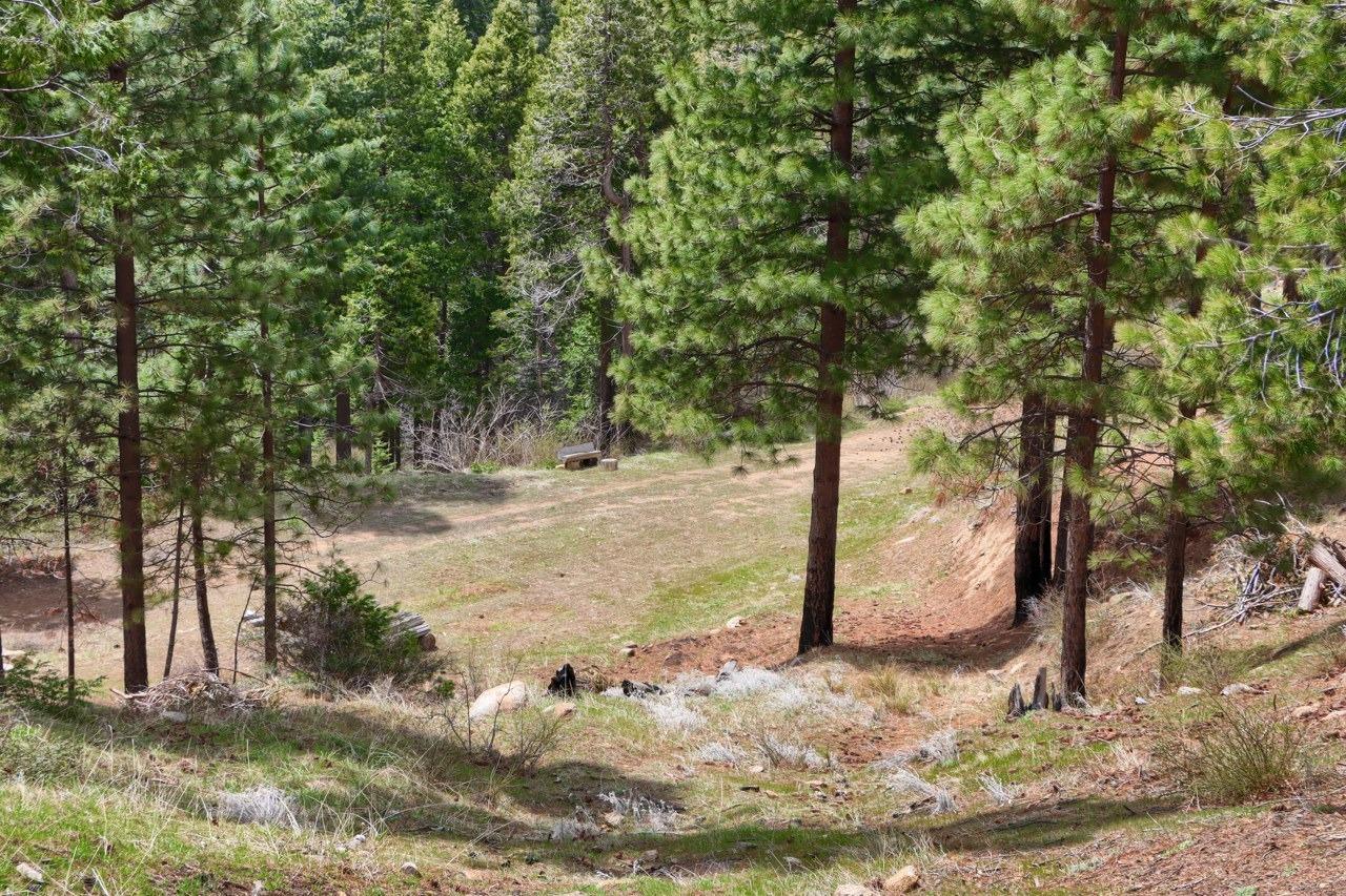 Yosemite, California, 95389, United States, ,Residential,For Sale,1791701