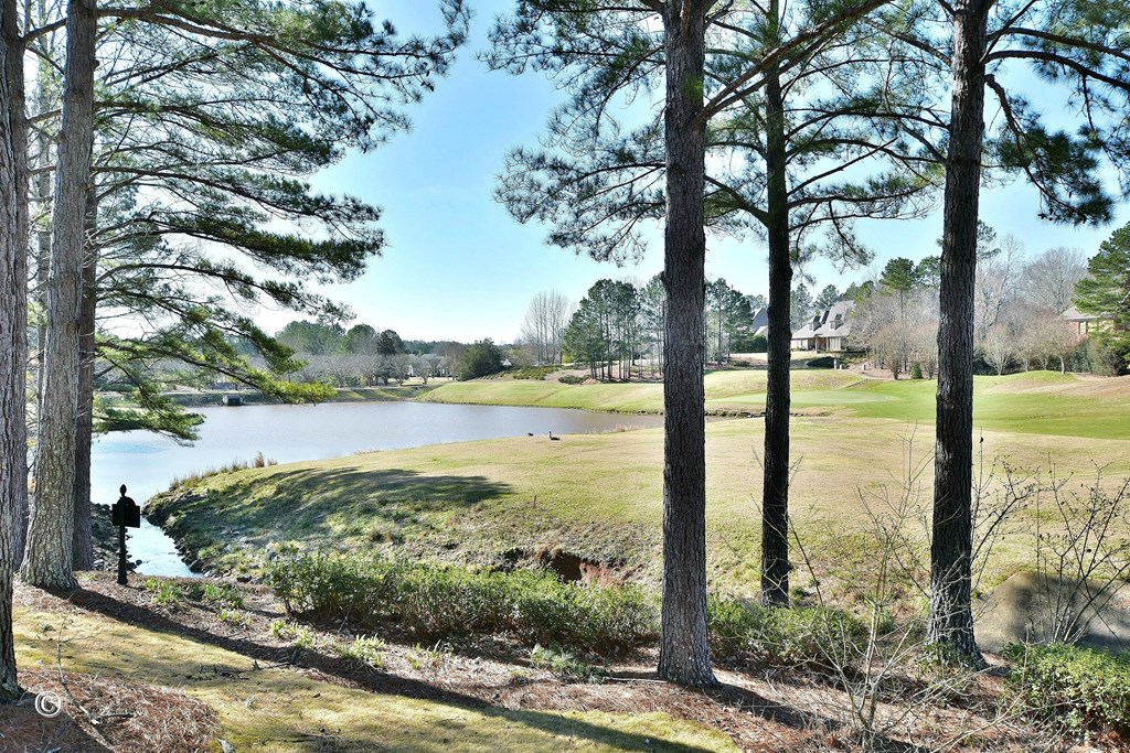 Columbus, Georgia, 31909, United States, 3 Bedrooms Bedrooms, ,3 BathroomsBathrooms,Residential,For Sale,1925814