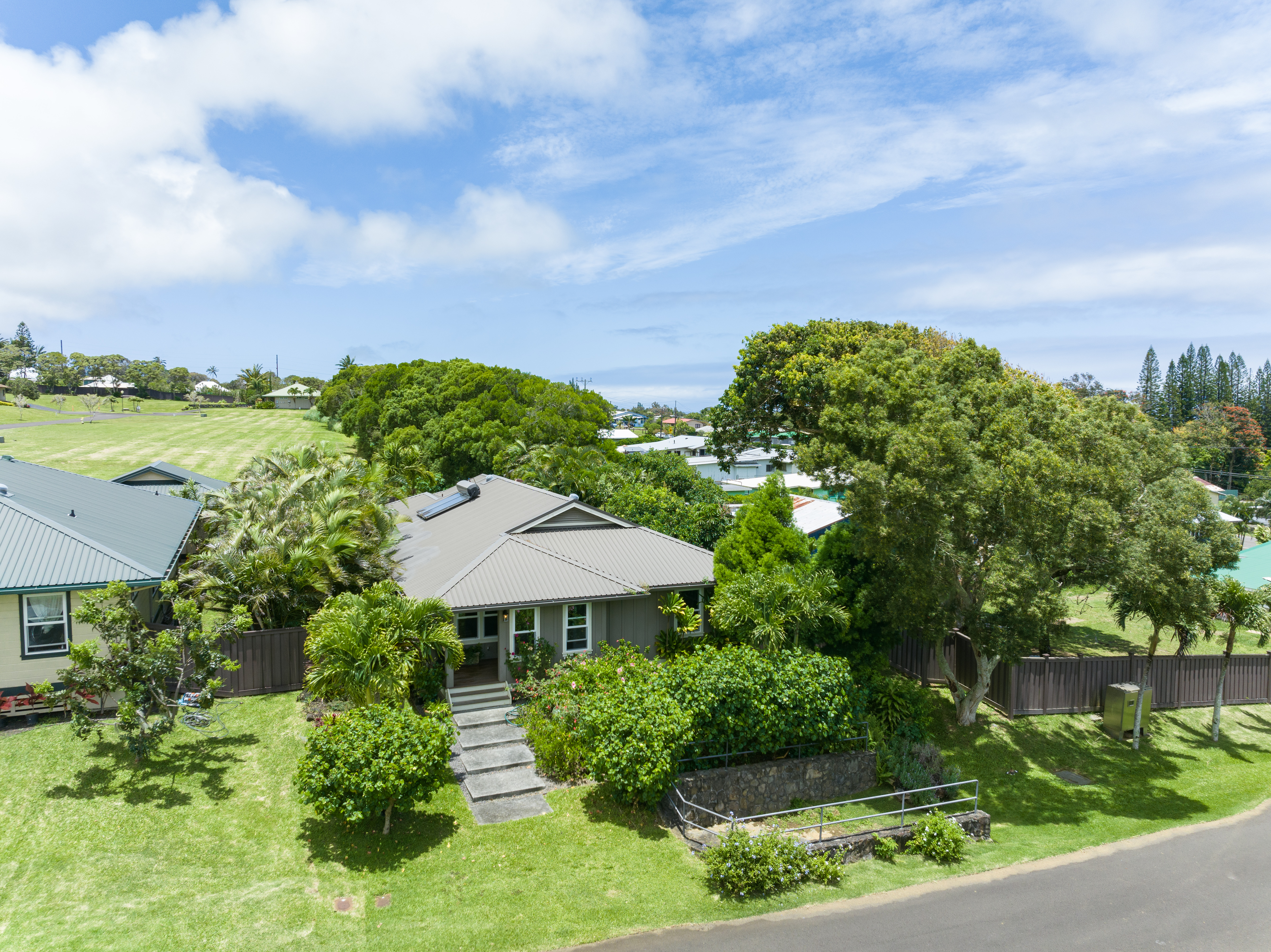  54-3758 Hinahina Rd, Kapaau, HI, 96755 - 物件實景