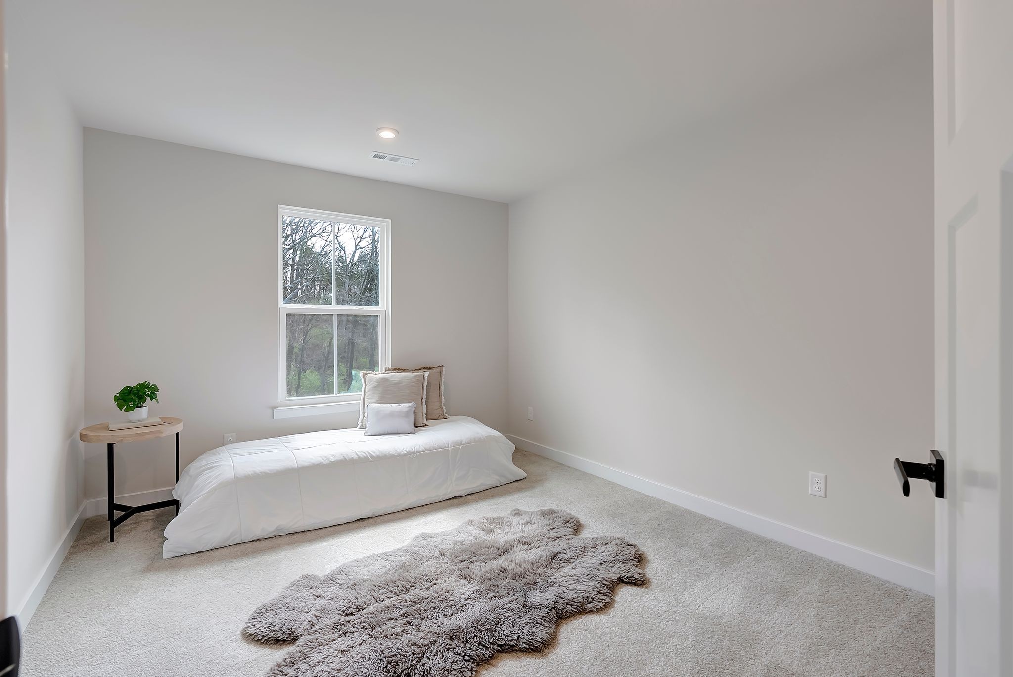  1038 Mountain View Dr, Thompsons Station, TN, 37179 - 物件實景