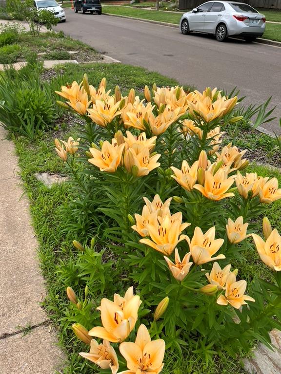 Norman, Oklahoma, 73069, United States, 4 Bedrooms Bedrooms, ,3 BathroomsBathrooms,Residential,For Sale,2012297