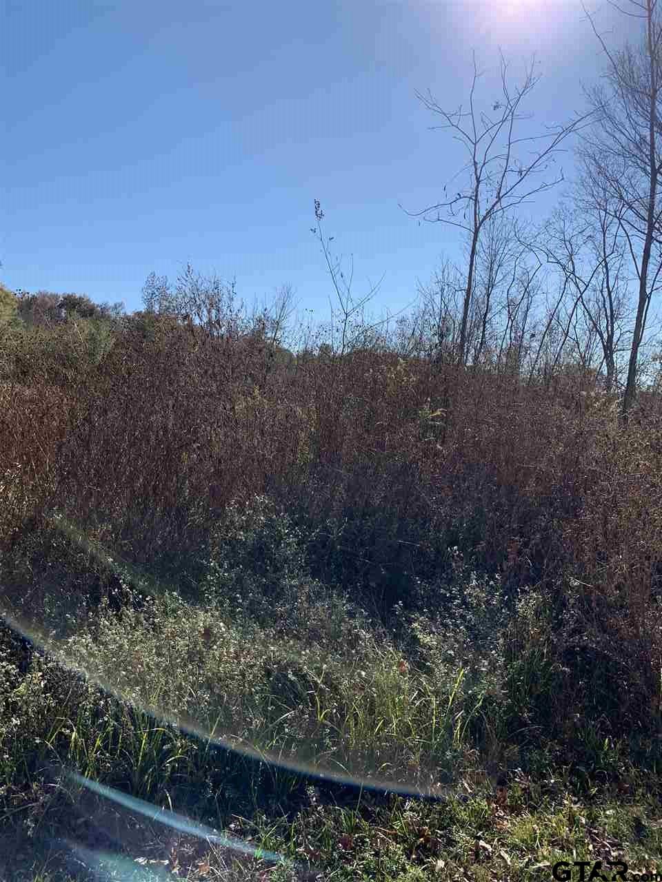 TBD CR 463 & I20, Lindale, Texas, 75771, United States, ,Land,For Sale,TBD CR 463 & I20,1673593