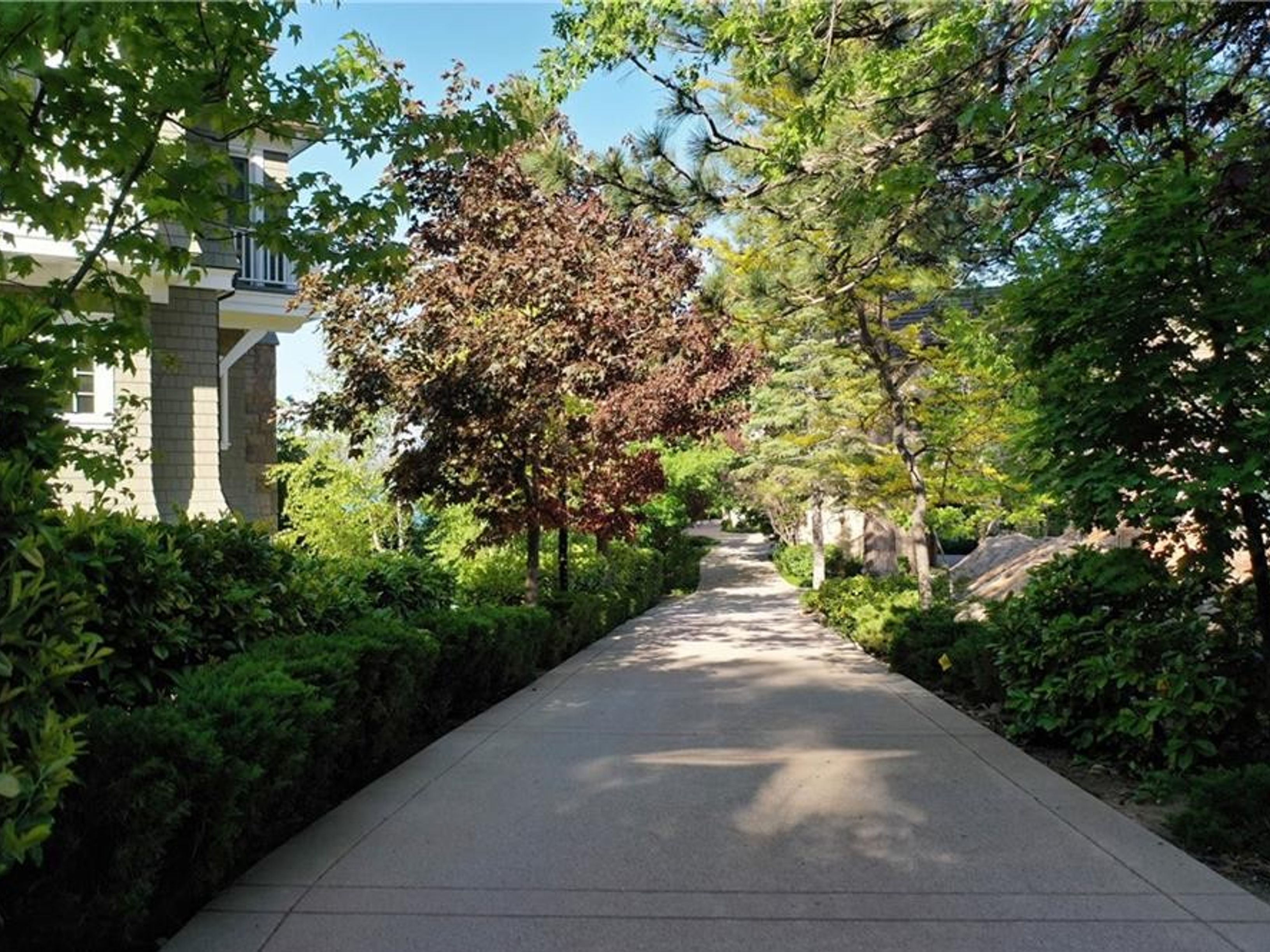  177 Shorewood Drive, Lake Arrowhead, CA 92352 - 物件實景