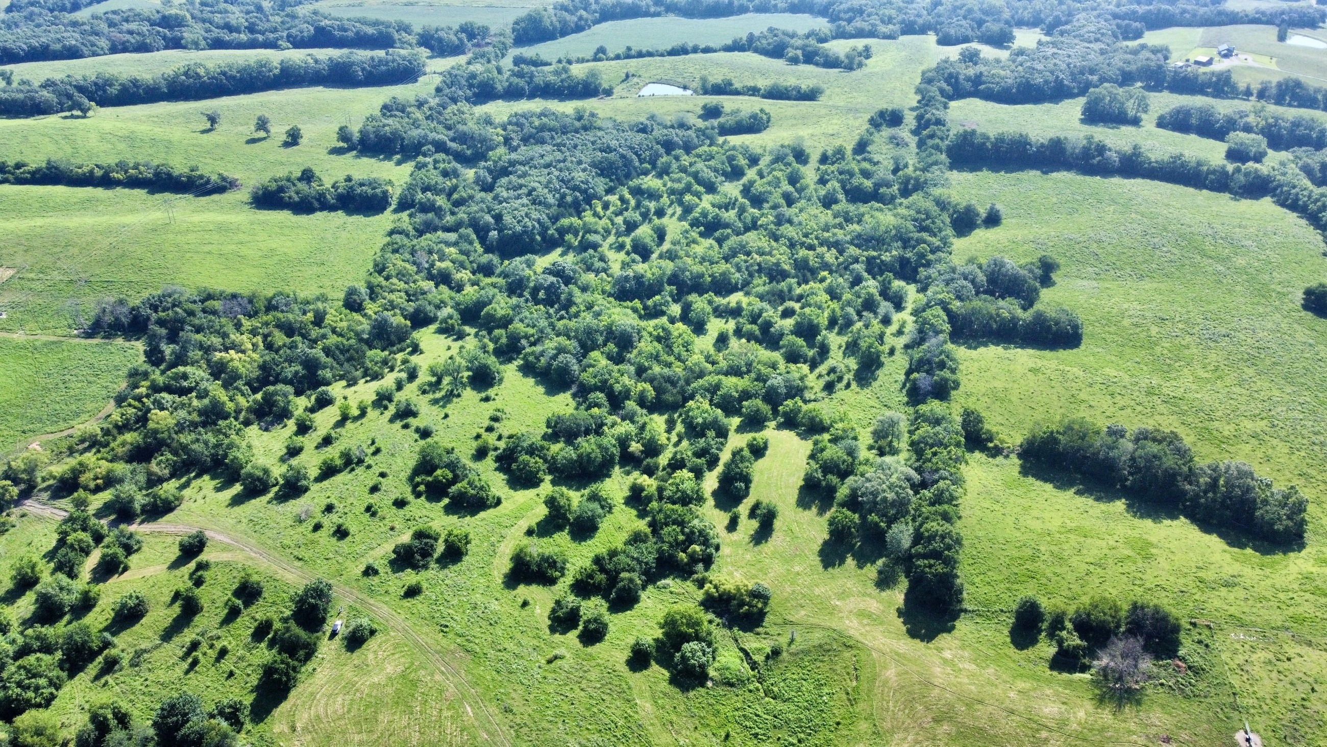 Princeton, Missouri, 64673, United States, ,Land,For Sale,2001559