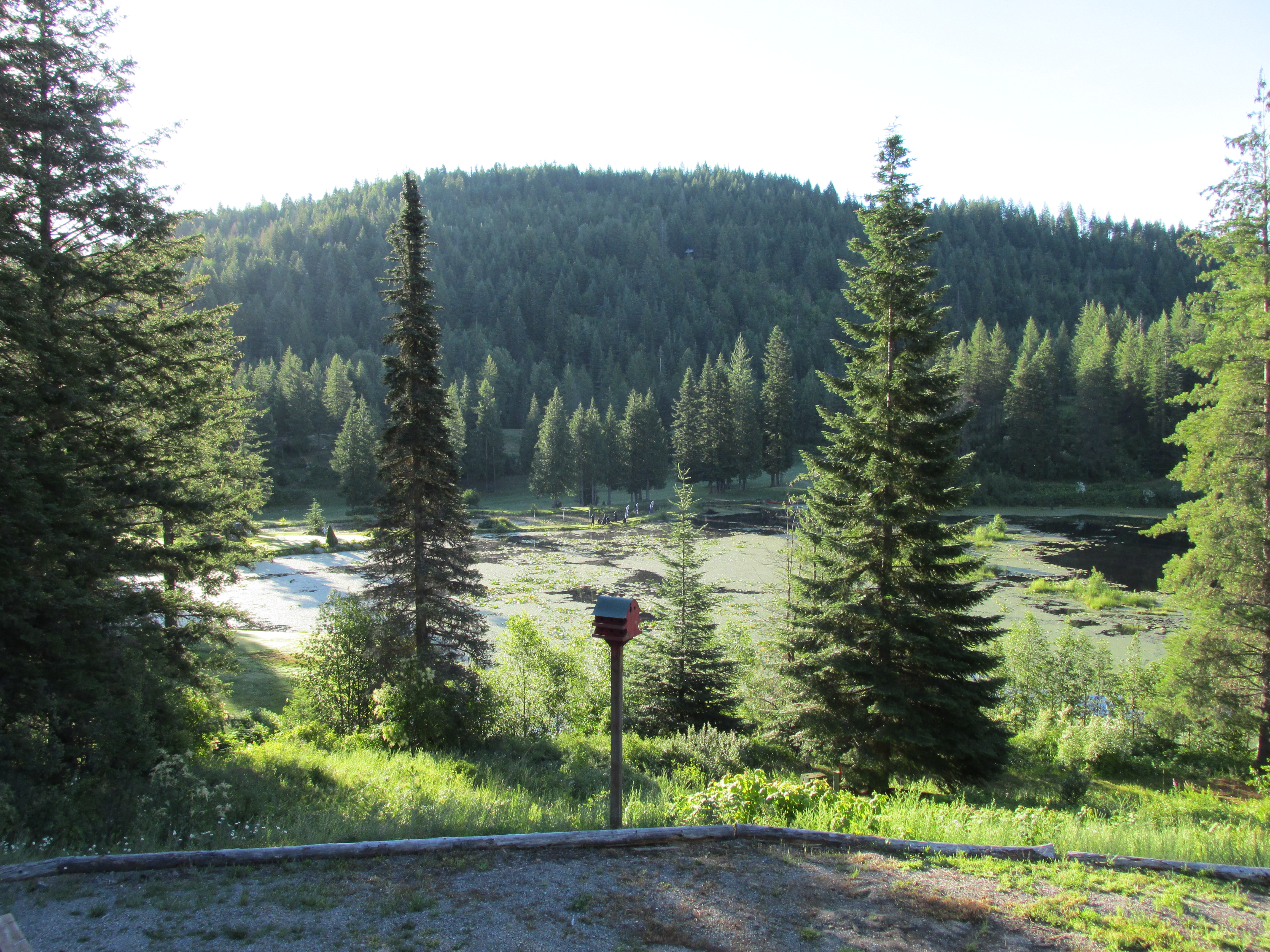 Sandpoint, Idaho, 83864, United States, 5 Bedrooms Bedrooms, ,3 BathroomsBathrooms,Residential,For Sale,1792102