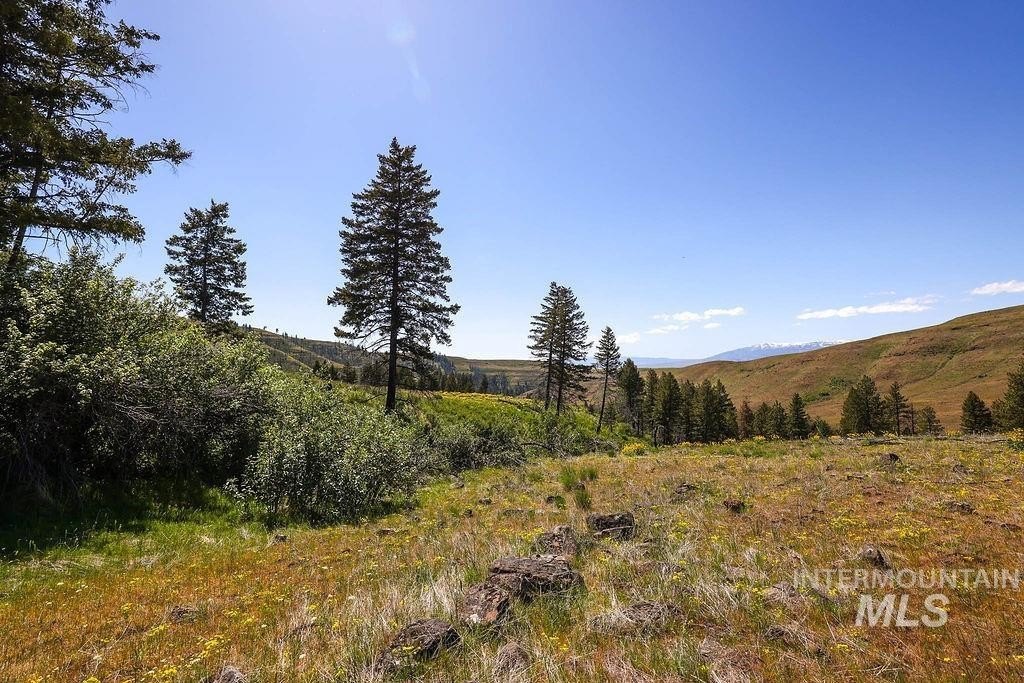 Council, Idaho, 83612, United States, ,Residential,For Sale,1862004