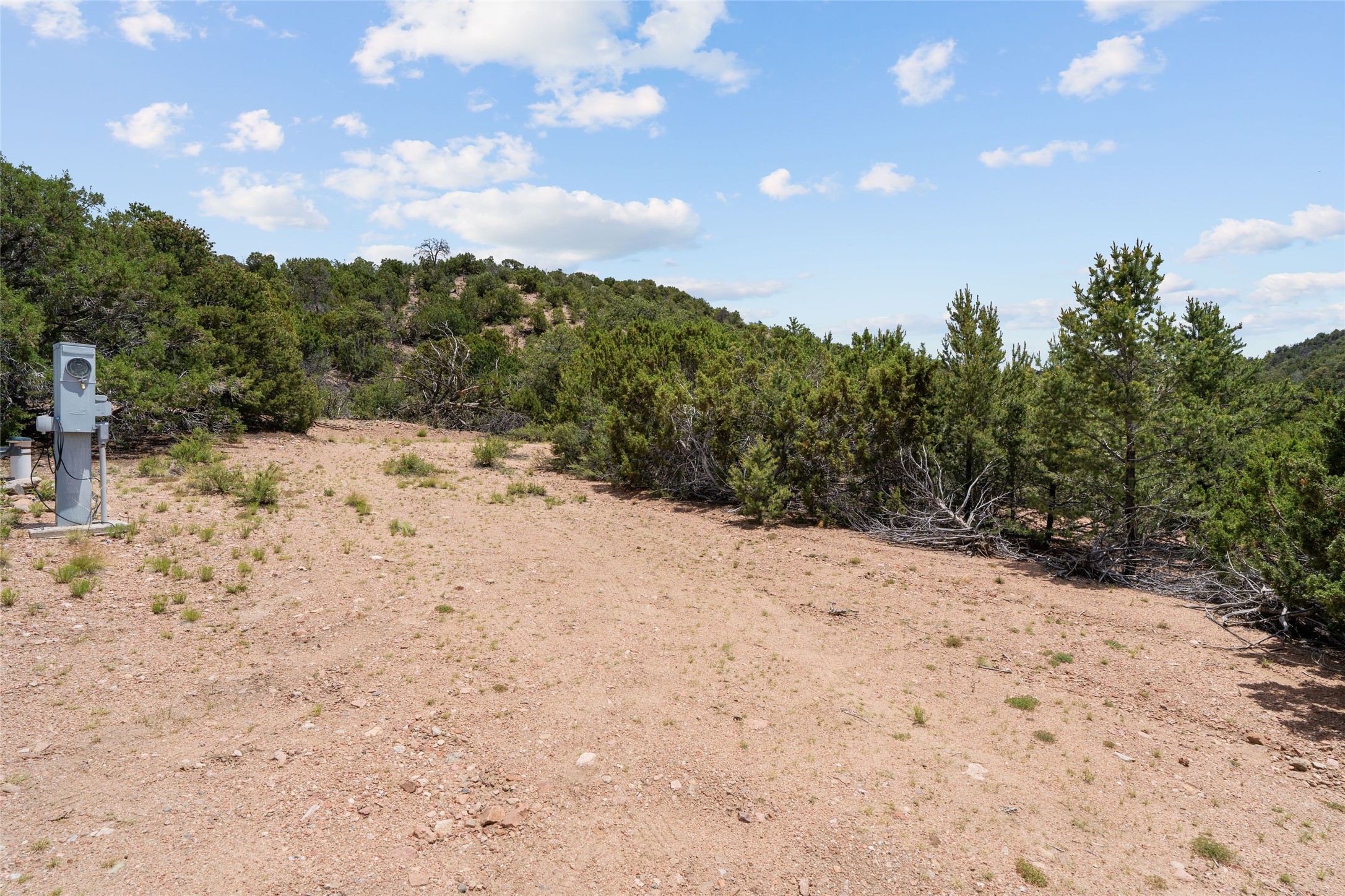  47 Pacheco Meadow Lane - 物件實景