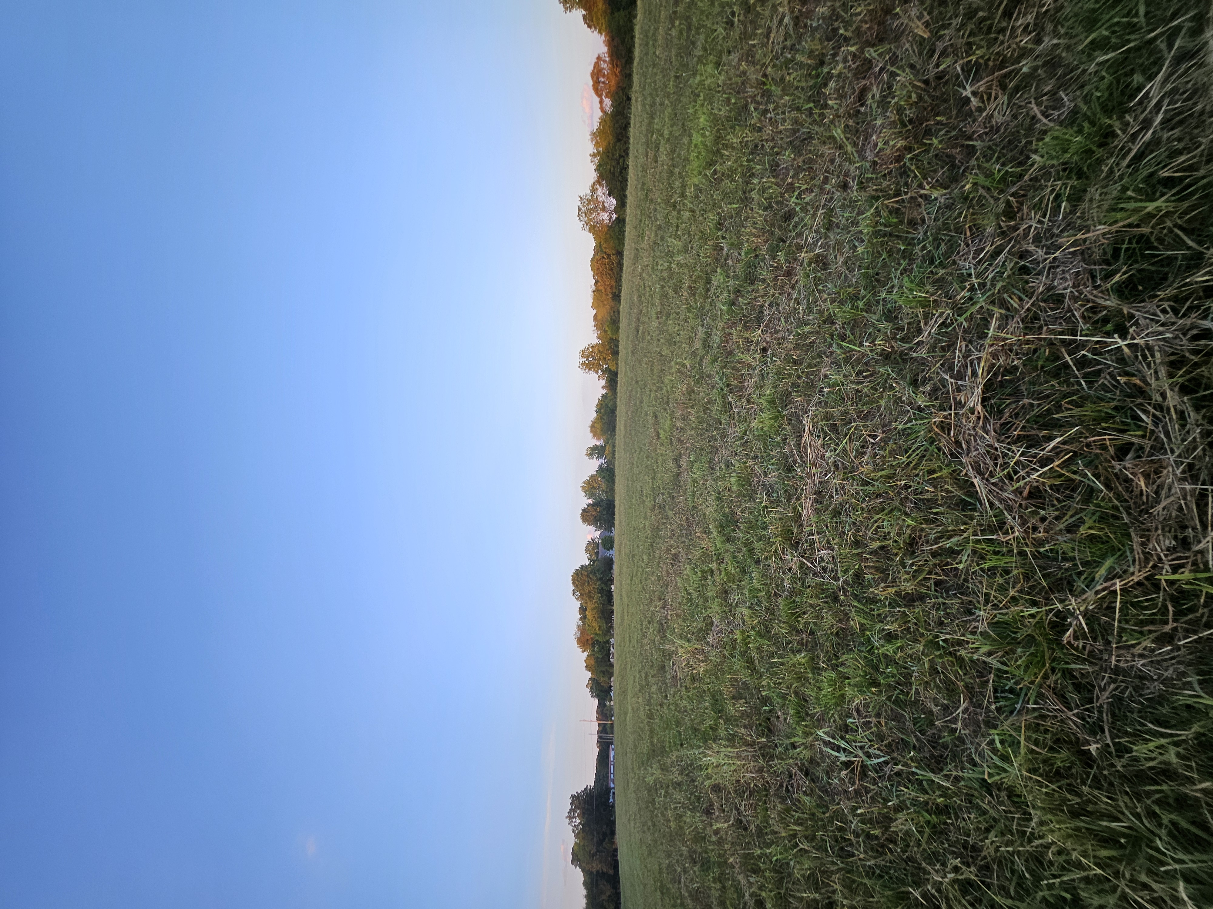 Pierce City, Missouri, 65723, United States, 5 Bedrooms Bedrooms, ,3 BathroomsBathrooms,Residential,For Sale,1975319