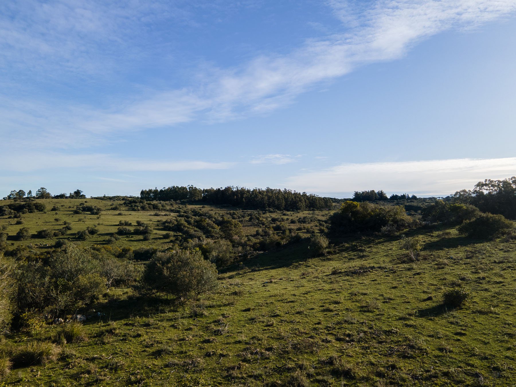  63.25 acres farm in Pueblo Edén. - 物件實景
