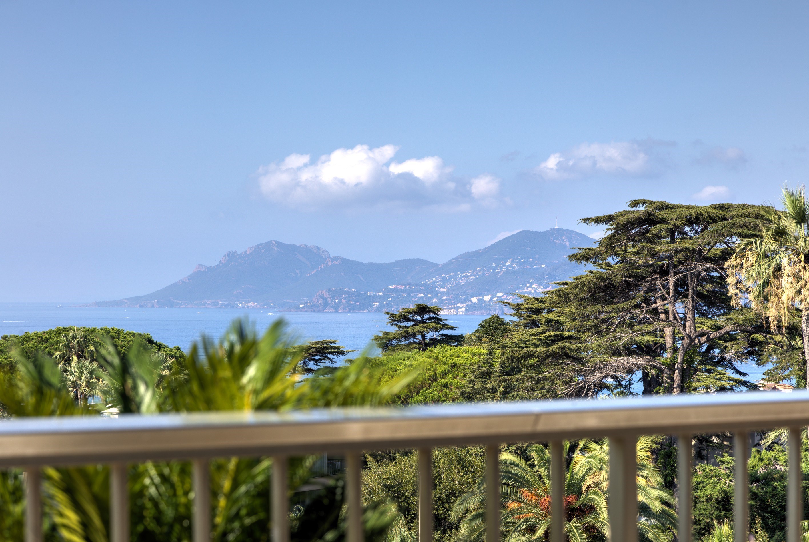  La Californie: 4-bed apartment with terrace and sea view - 物件實景