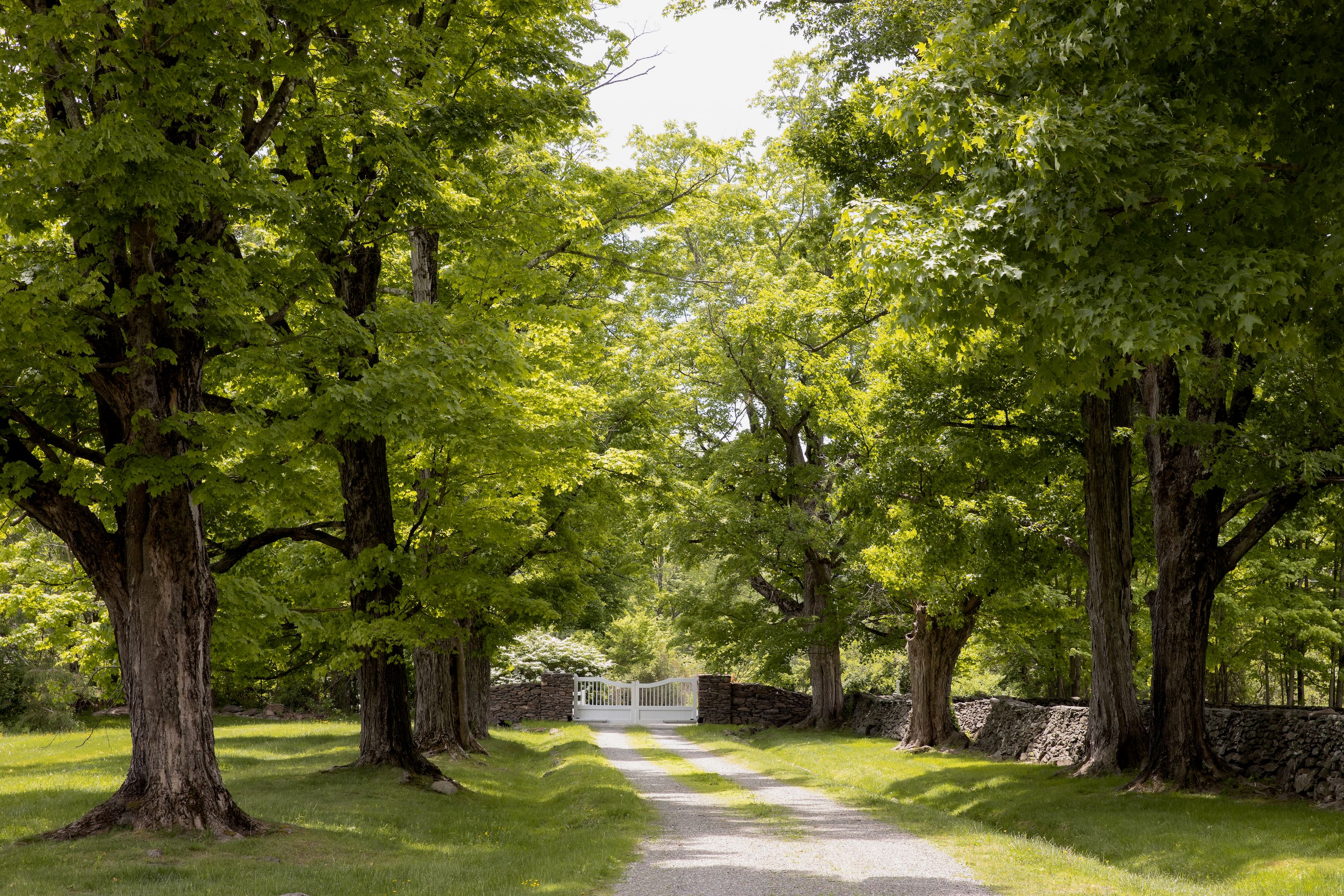  809 North Quaker Hill Road, Pawling, NY 12564 - 物件實景