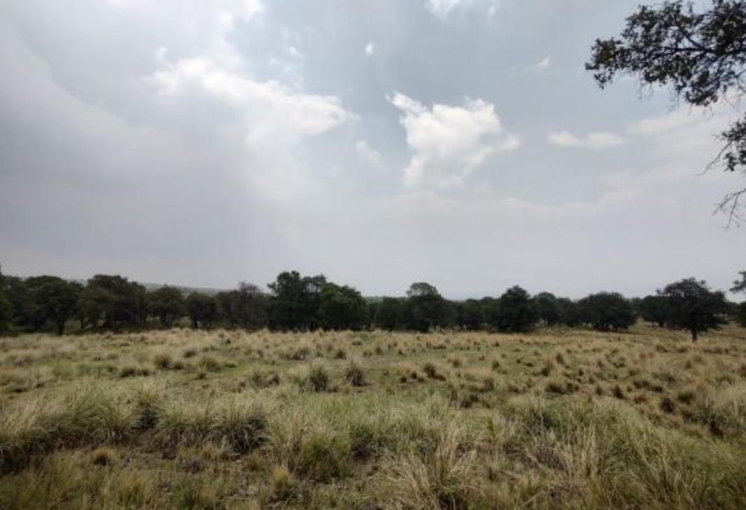 Camino sin nombre, Ayapango, Estado de México, 56760, Mexico, 1 Bedroom Bedrooms, ,Residential,For Sale,Camino sin nombre,1616925