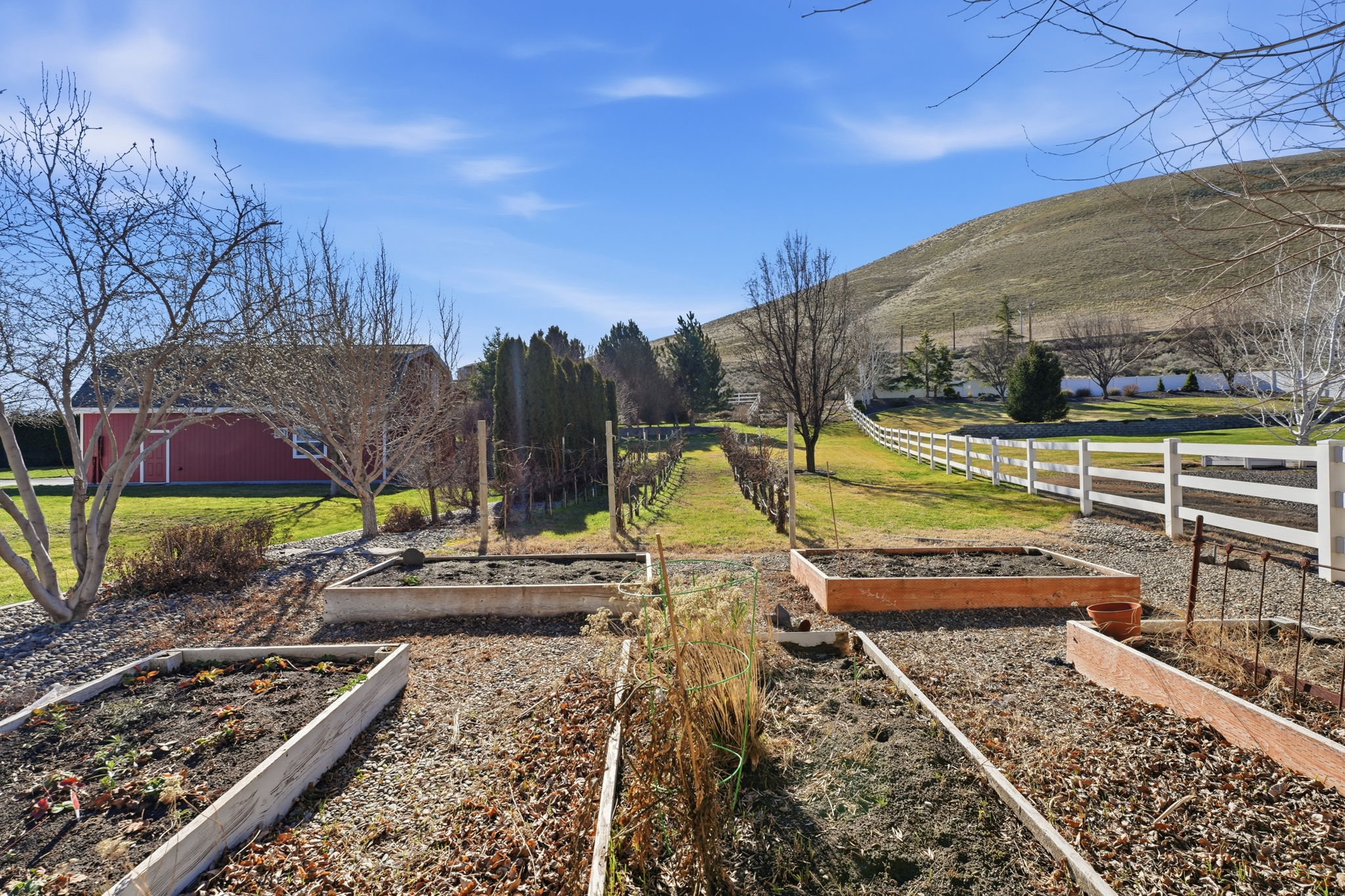  Located in The Heart of West Richland’s Wine Country - 物件實景