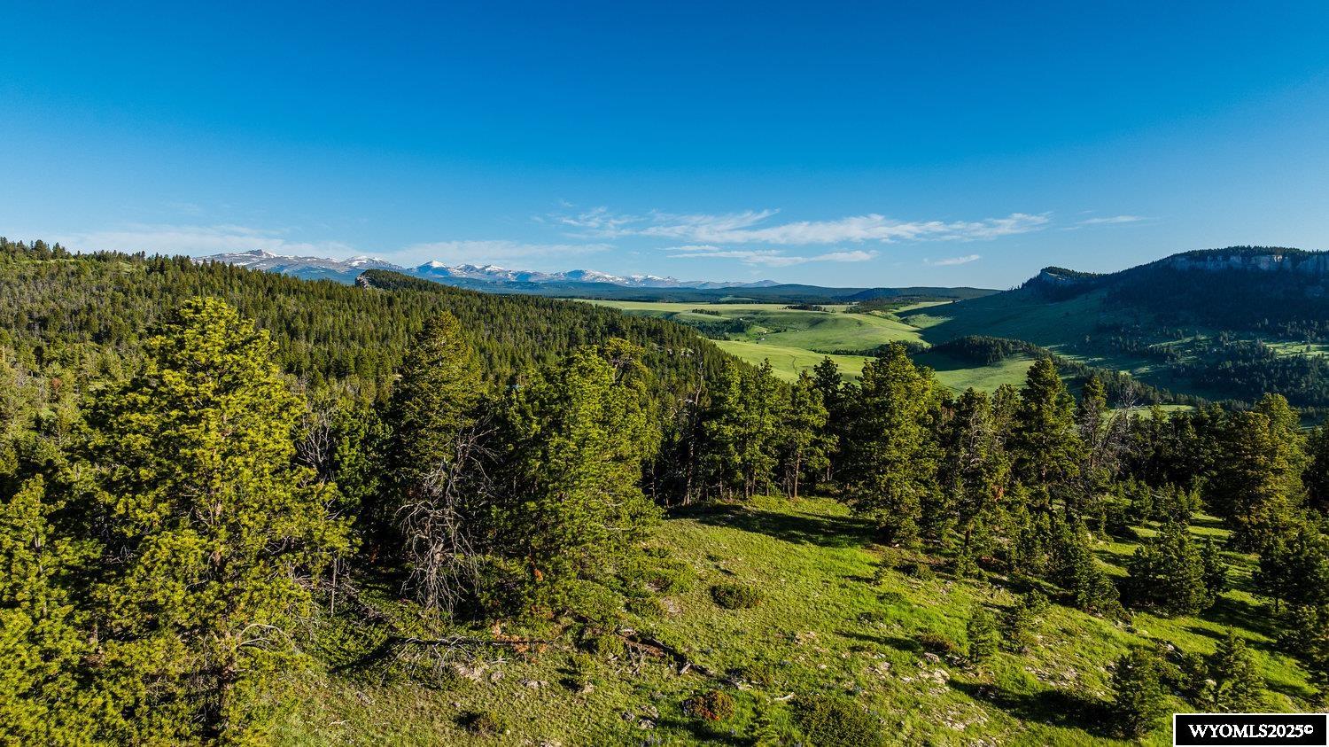 Buffalo, Wyoming, 82834, United States, ,Land,For Sale,1778348