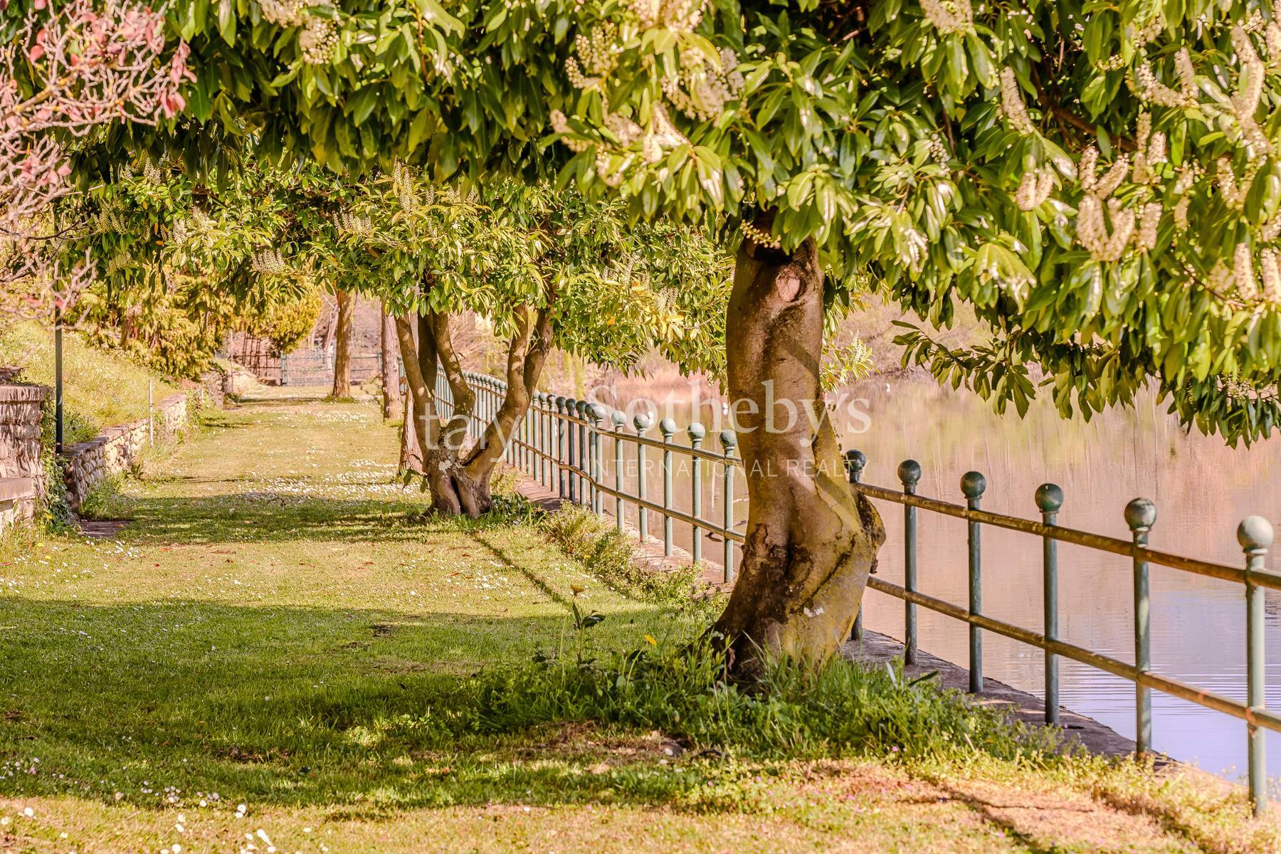  Waterfront villa with private park on Lake Avigliana - 物件實景