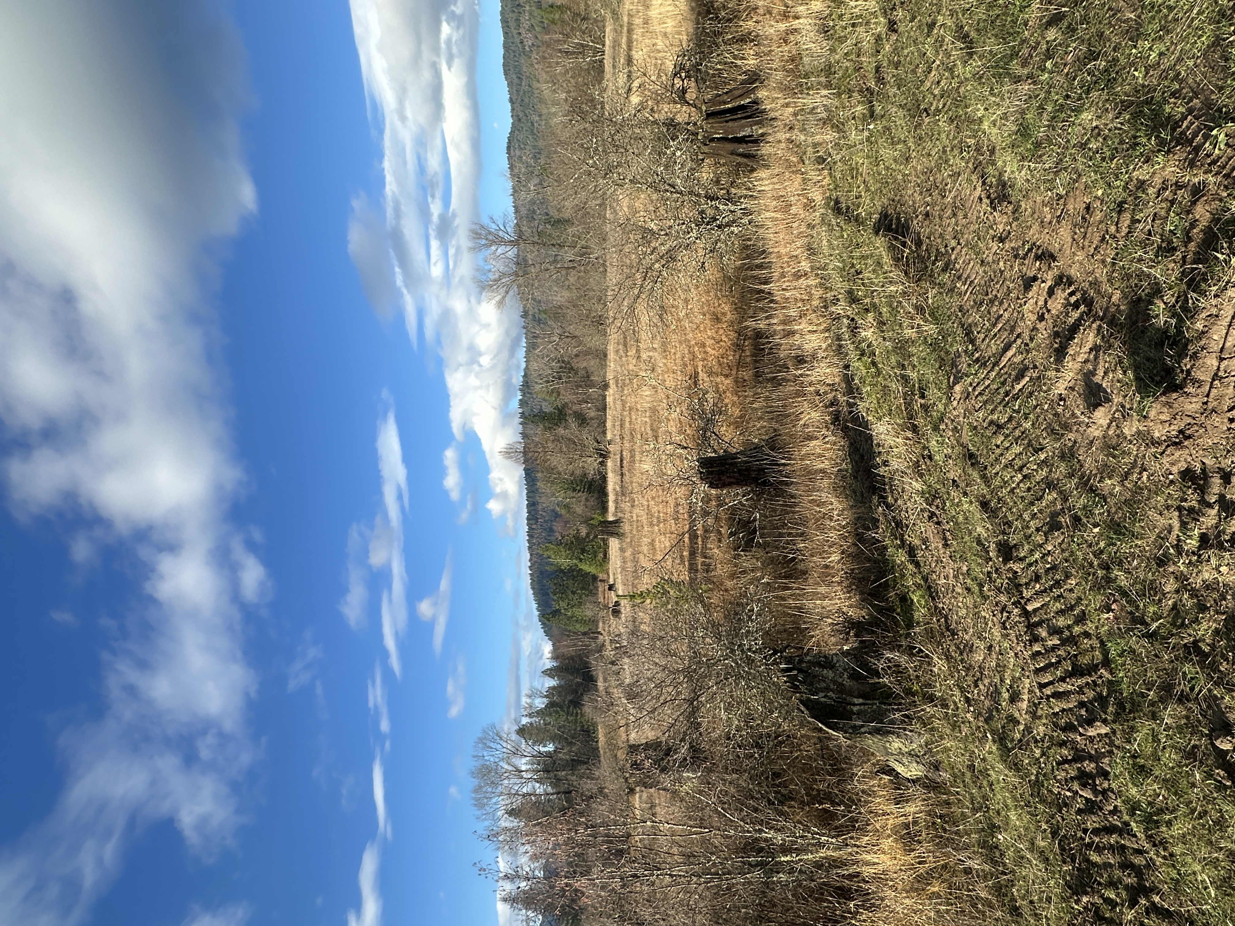 Priest River, Idaho, 83856, United States, ,Land,For Sale,2006127