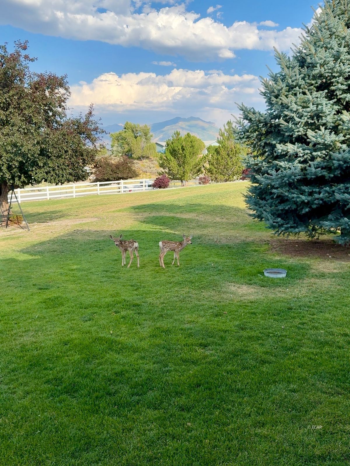 Spring Creek, Nevada, 89815, United States, 5 Bedrooms Bedrooms, ,4 BathroomsBathrooms,Residential,For Sale,1987561