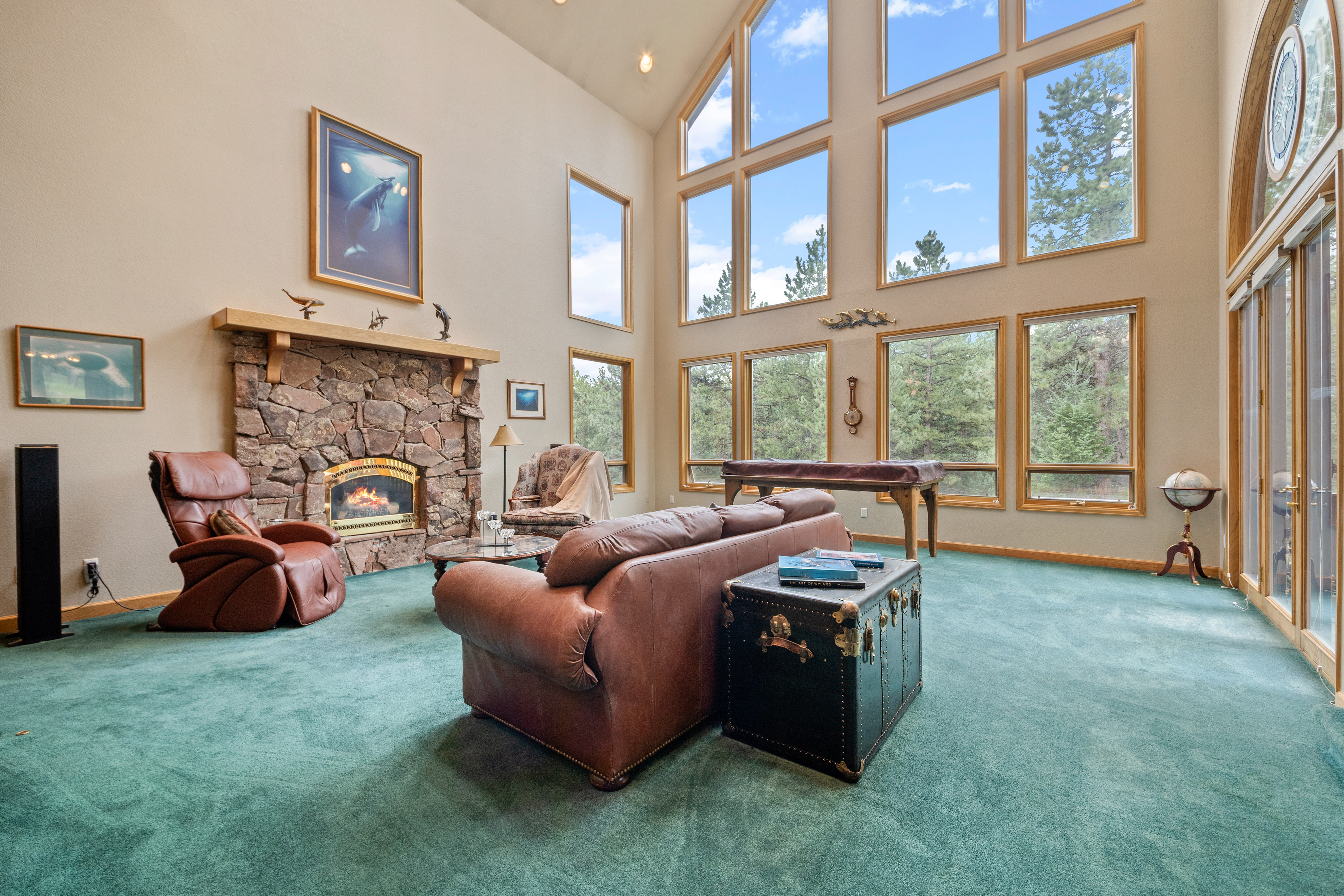  Perfect Blend of Space and Colorado Living That Backs to Pike National Forest - 物件實景