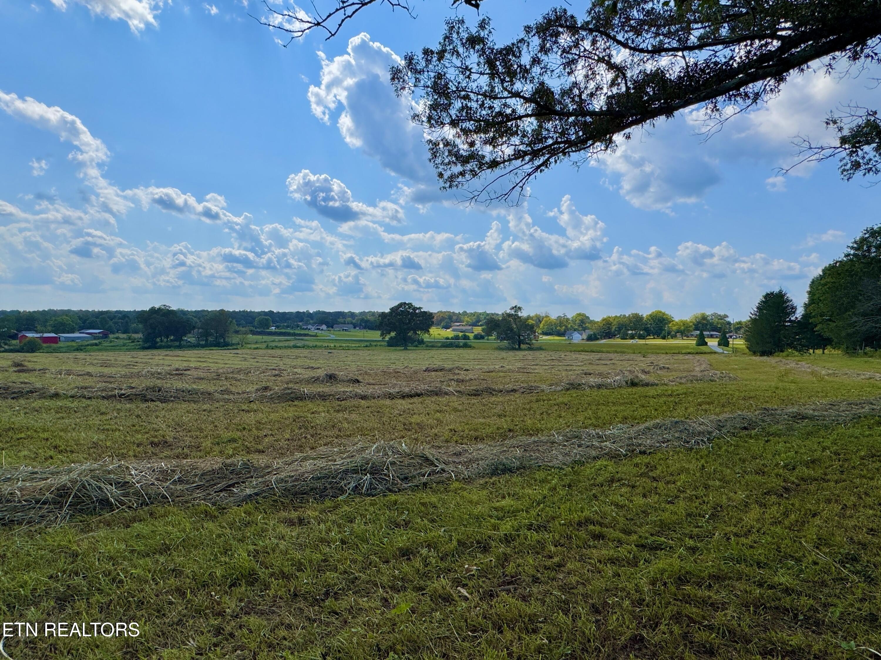 McMinnville, Tennessee, 37110, United States, 3 Bedrooms Bedrooms, ,1 BathroomBathrooms,Residential,For Sale,1976932