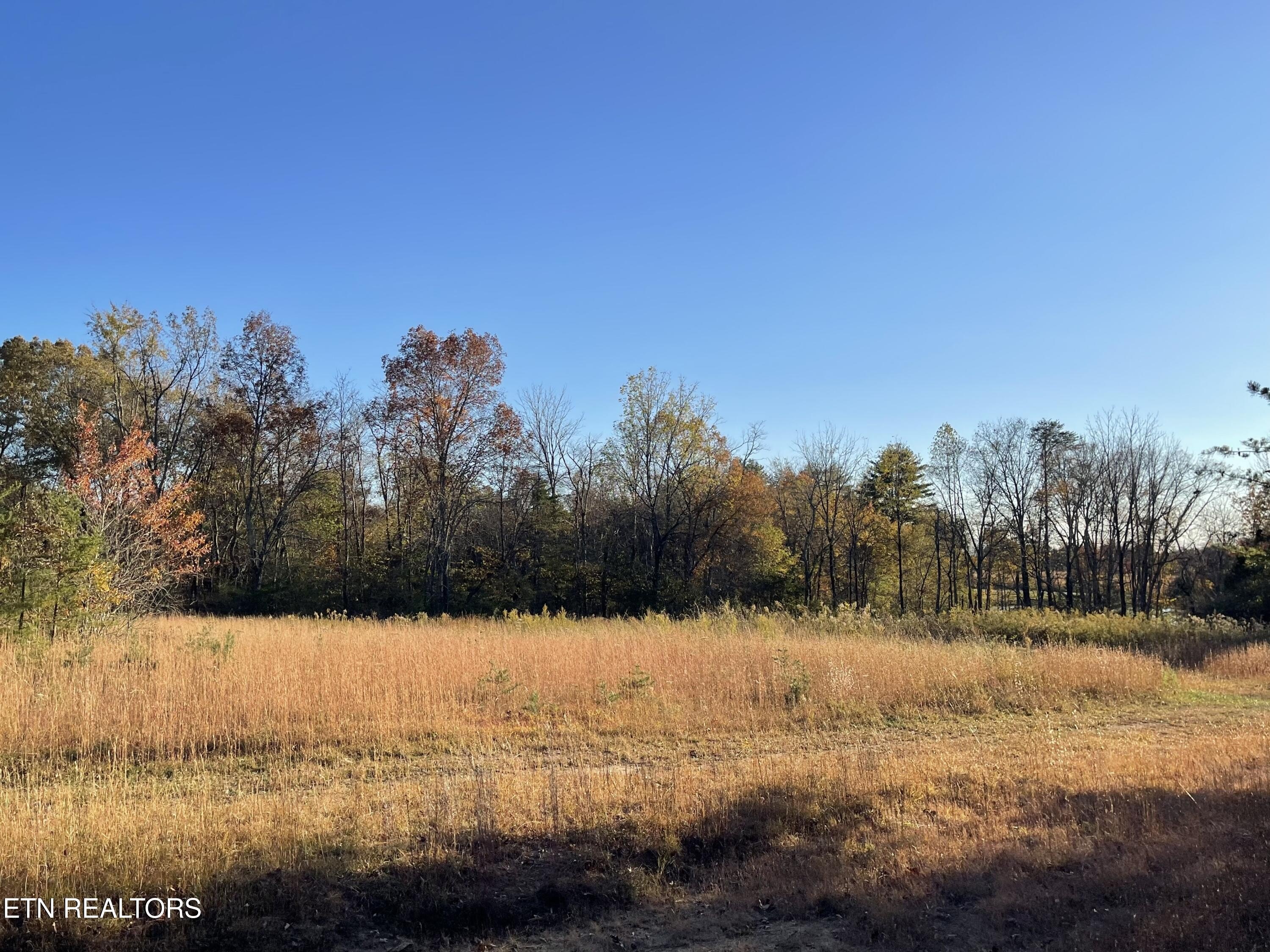 Crossville, Tennessee, 38555, United States, 2 Bedrooms Bedrooms, ,1 BathroomBathrooms,Residential,For Sale,1982388