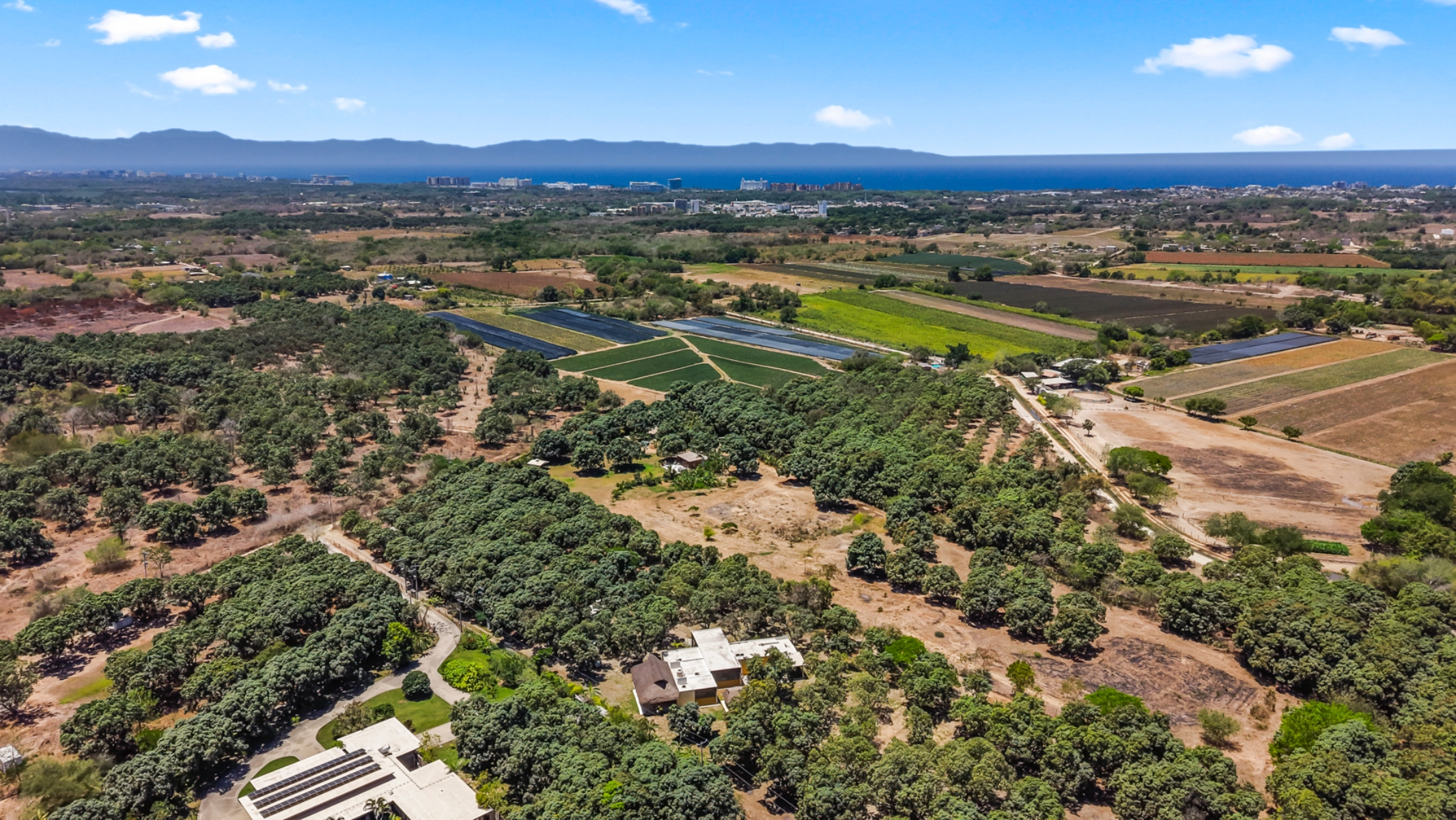 Casa Respiro  Private sanctuary in the heart of nature, Bucerías - 物件實景