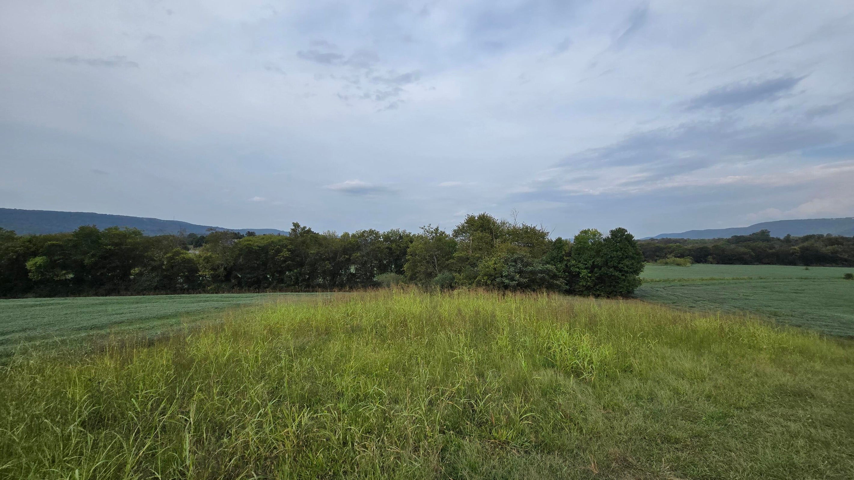 Pikeville, Tennessee, 37367, United States, ,Land,For Sale,1978902