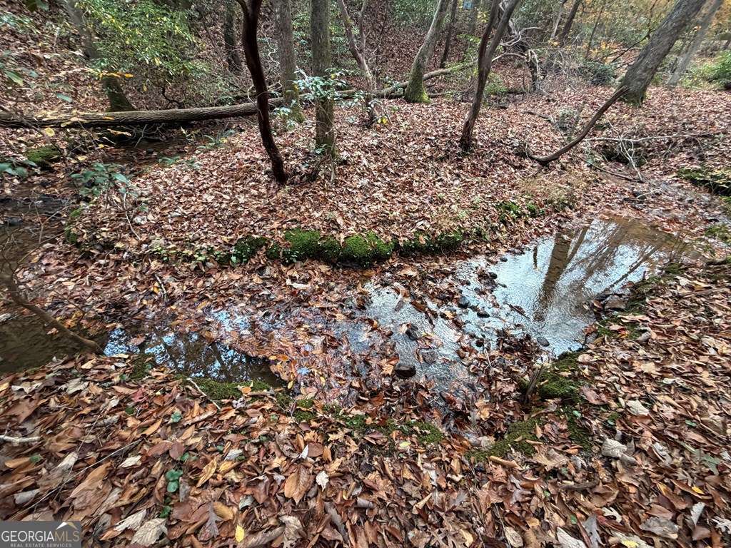 Blue Ridge, Georgia, 30513, United States, 3 Bedrooms Bedrooms, ,Residential,For Sale,1996242