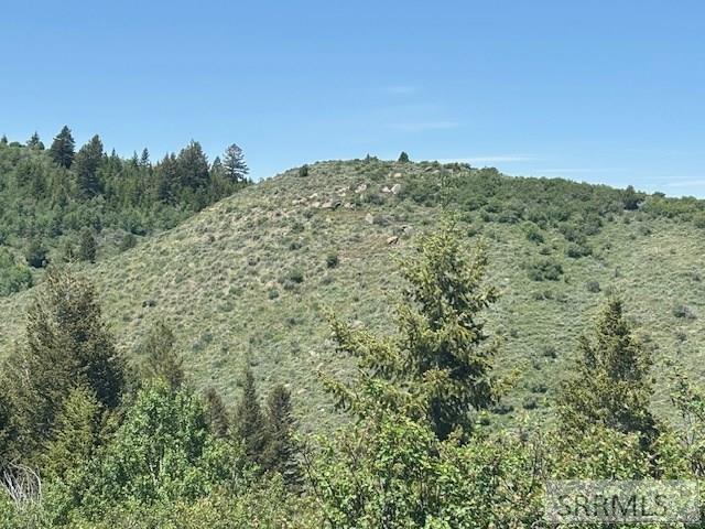 RIRIE, Idaho, 83443, United States, ,Residential,For Sale,1974893