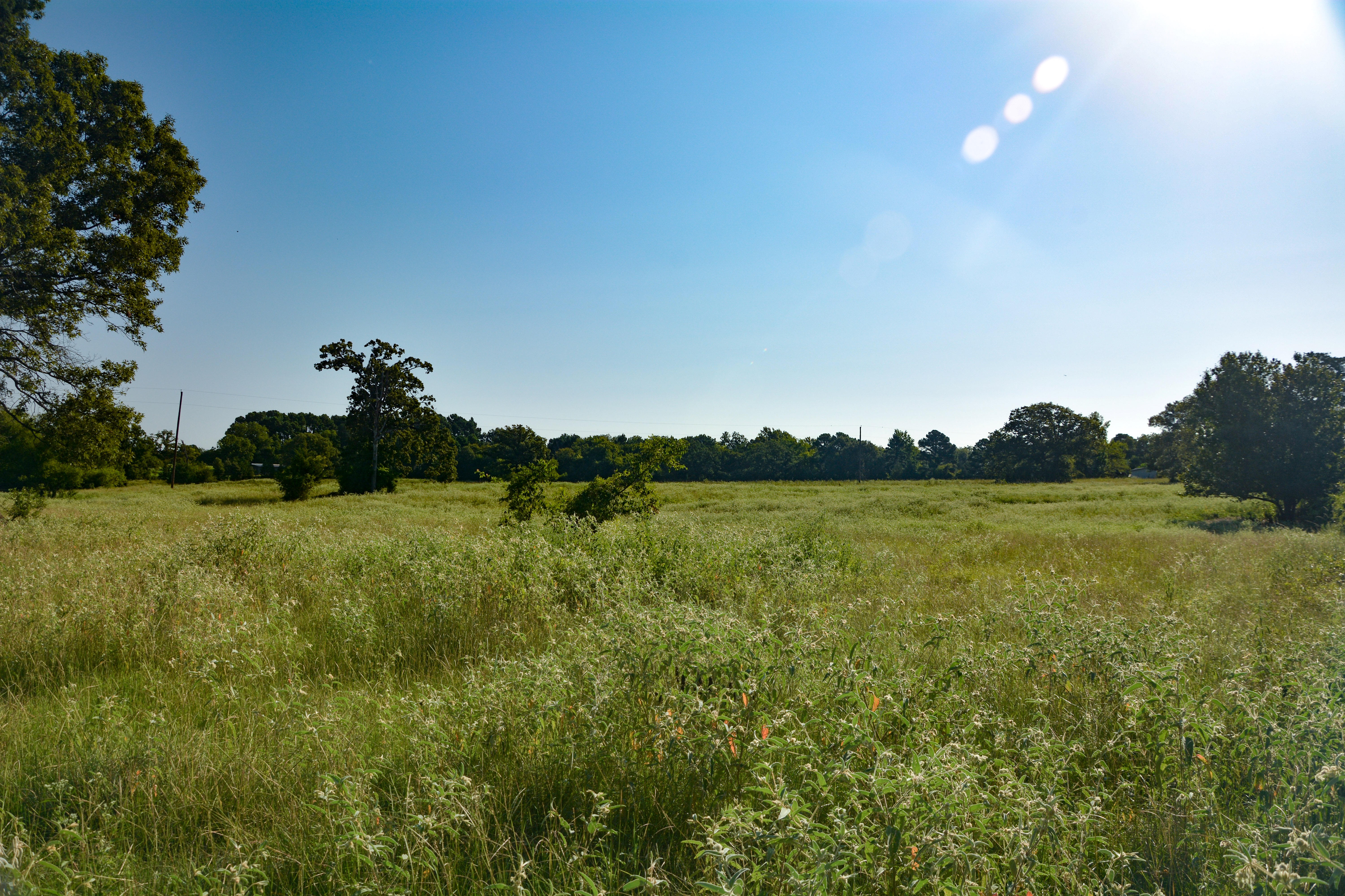 Grand Saline, Texas, 75140, United States, ,Residential,For Sale,1938420