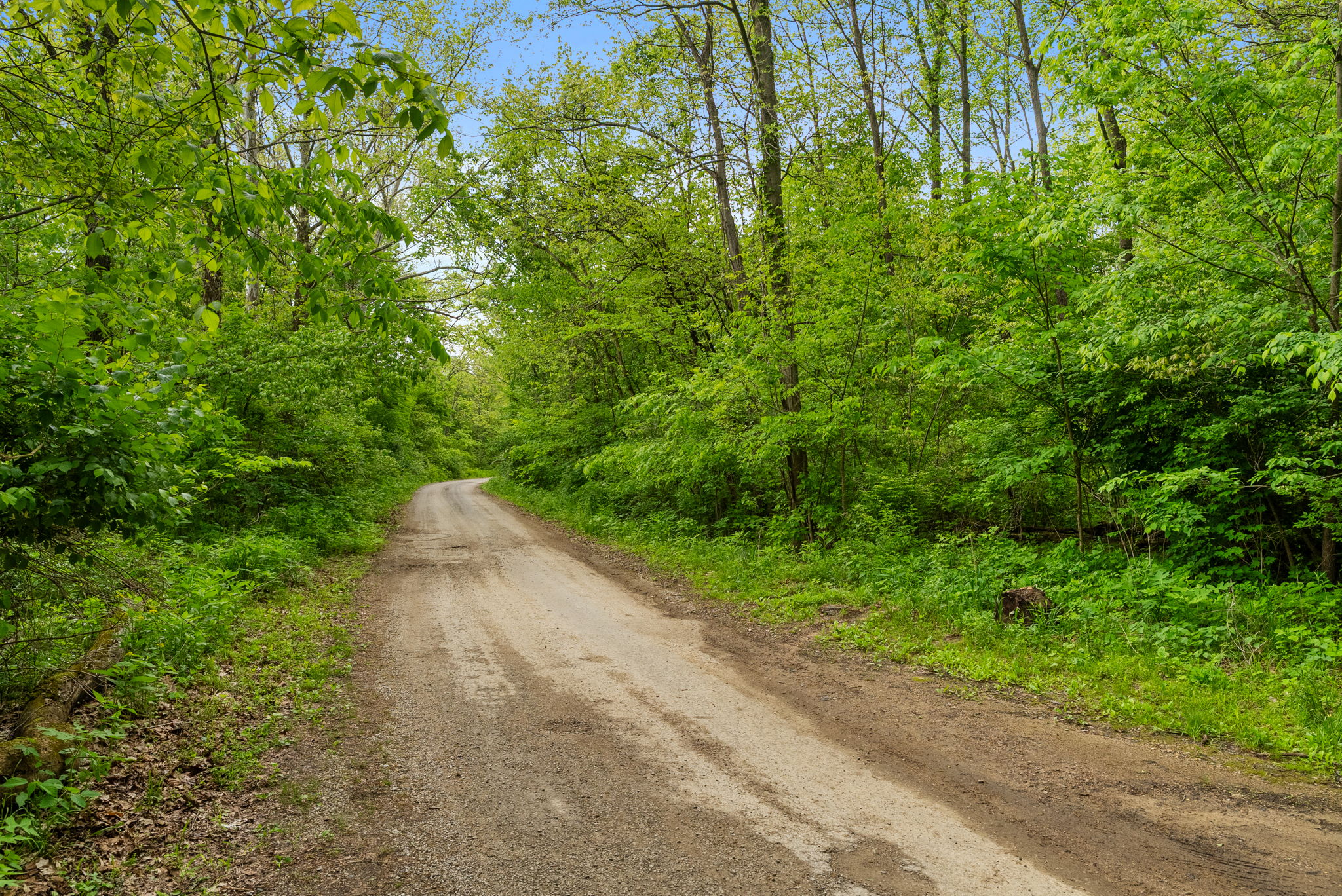 Rosedale, Indiana, 47874, United States, ,Land,For Sale,2049036