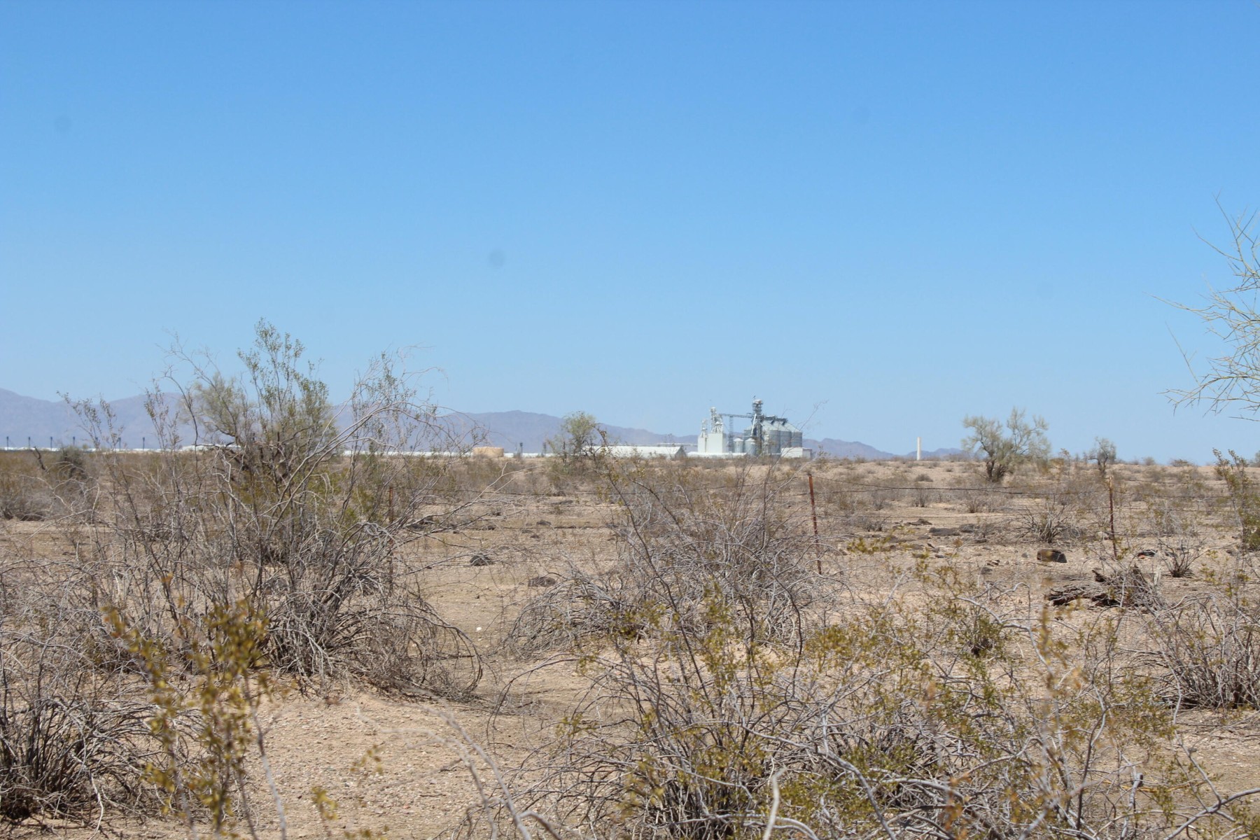 11 S 337th Avenue, Arlington, AZ, 85322 - 物件實景