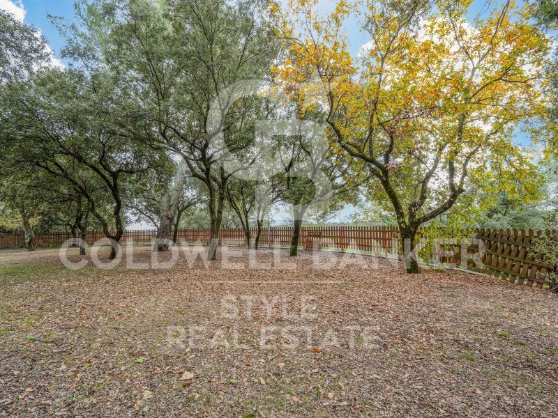 Carretera de Castellar Barcelona, Matadepera, Mata, Matadepera, Catalonia, 08227, ES, 7 Bedrooms Bedrooms, ,3 BathroomsBathrooms,Residential,For Sale,Carretera de Castellar Barcelona, Matadepera, Mata,1448691