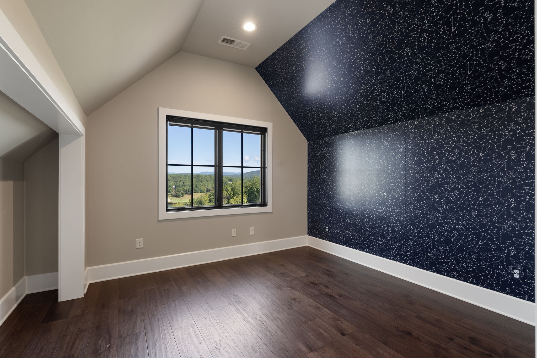  168 Settlement Village Drive, Sunset, SC 29685 - 物件實景
