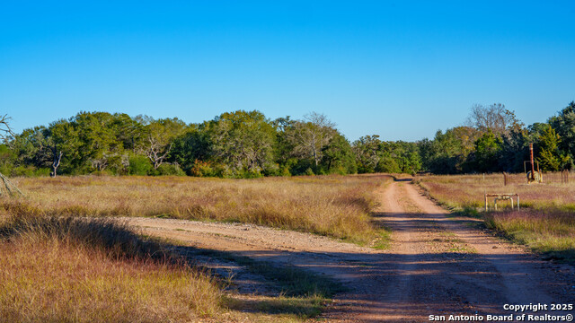 Yoakum, Texas, 77995, United States, ,Land,For Sale,1988104