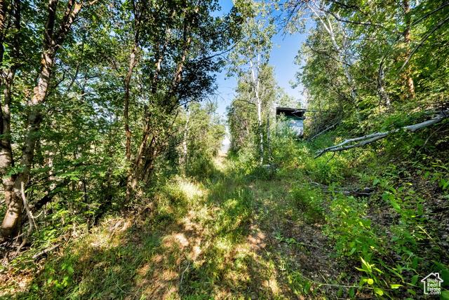 Kamas, Utah, 84036, United States, ,Residential,For Sale,1976580