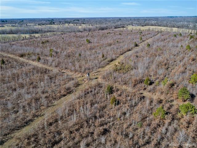 0 Highway 527, Elm Grove, Louisiana, 71051, United States, ,Residential,For Sale,0 Highway 527,1434134