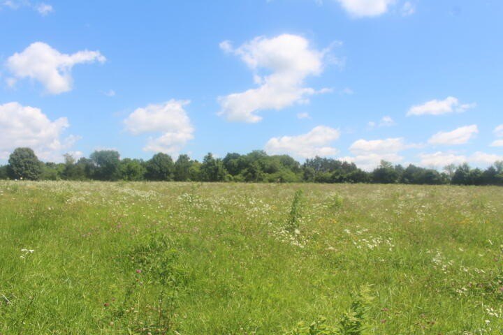 Polk, Missouri, 65727, United States, ,Land,For Sale,1980569