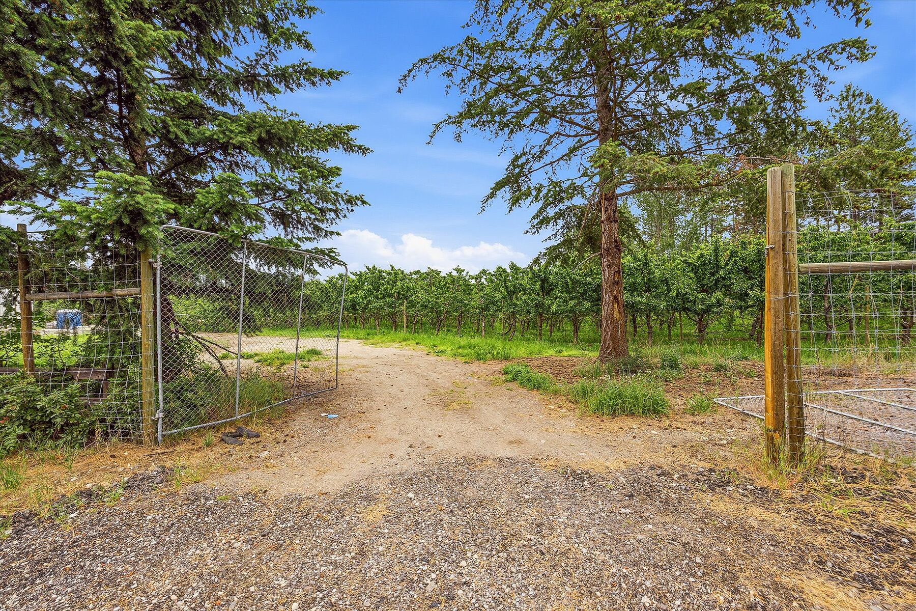  12.81 Acre Orchard - 物件實景