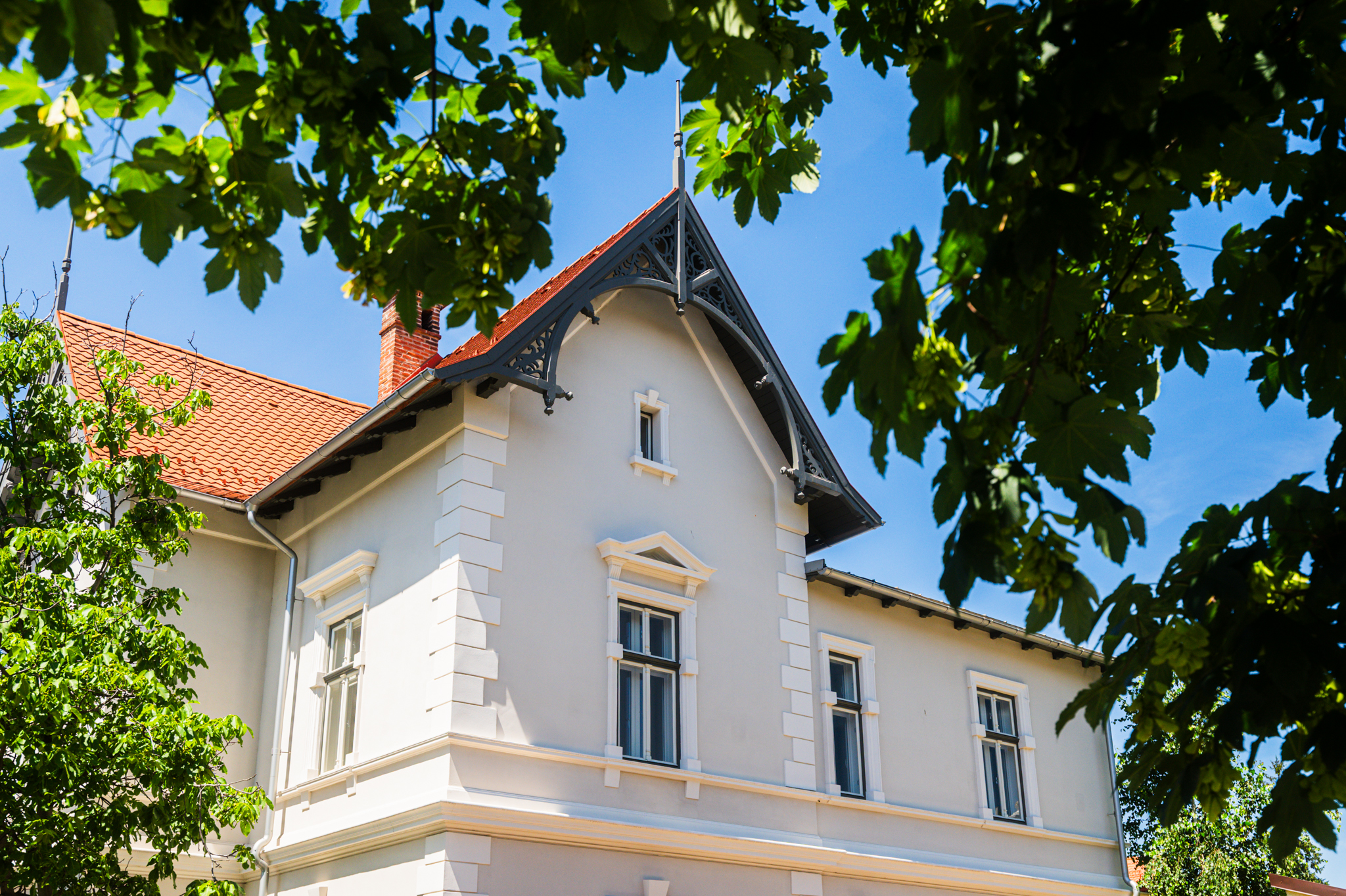  Historic Villa with Garden and Courtyard in Central Sibiu - 物件實景