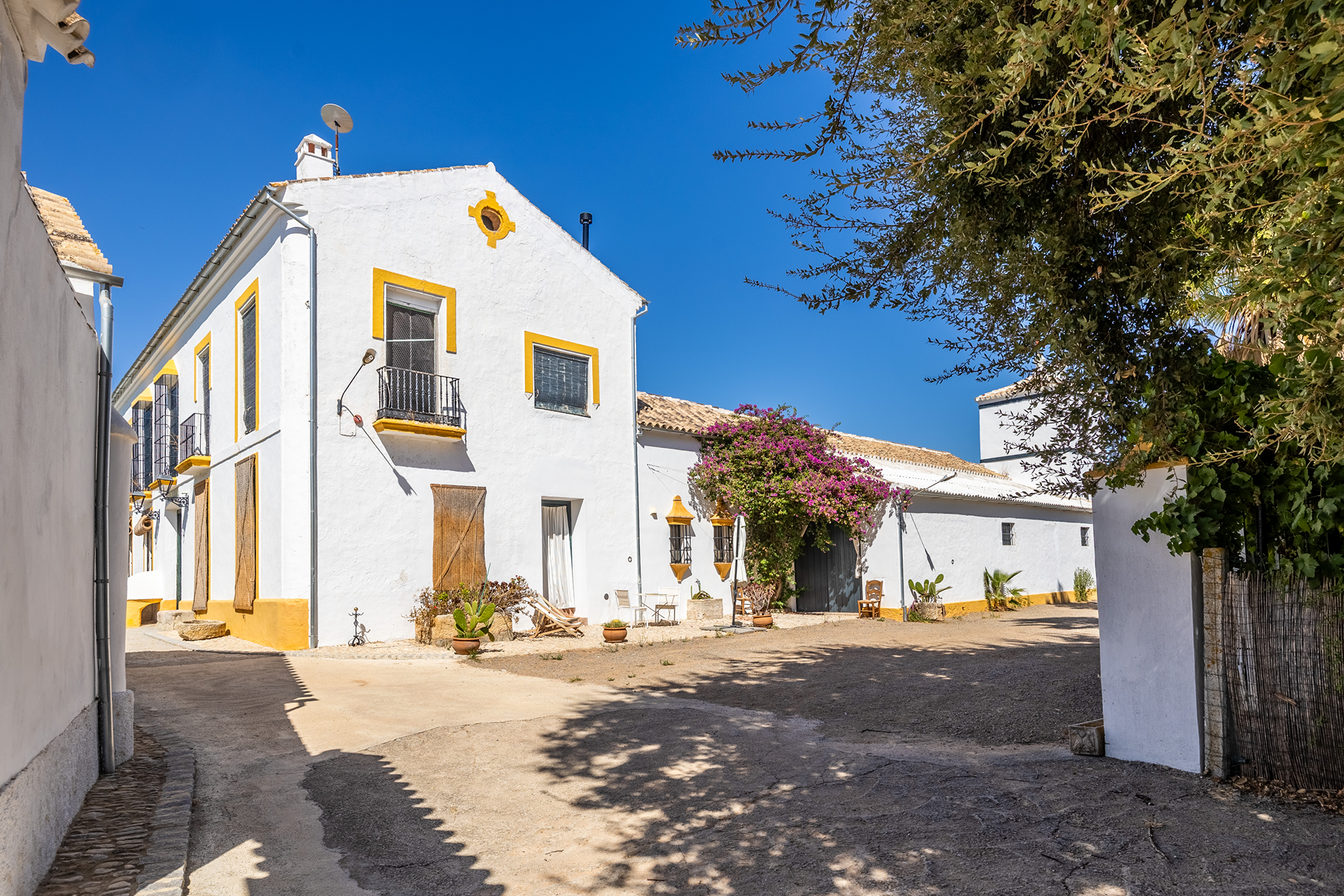  Country house in the province of Cádiz - 物件實景