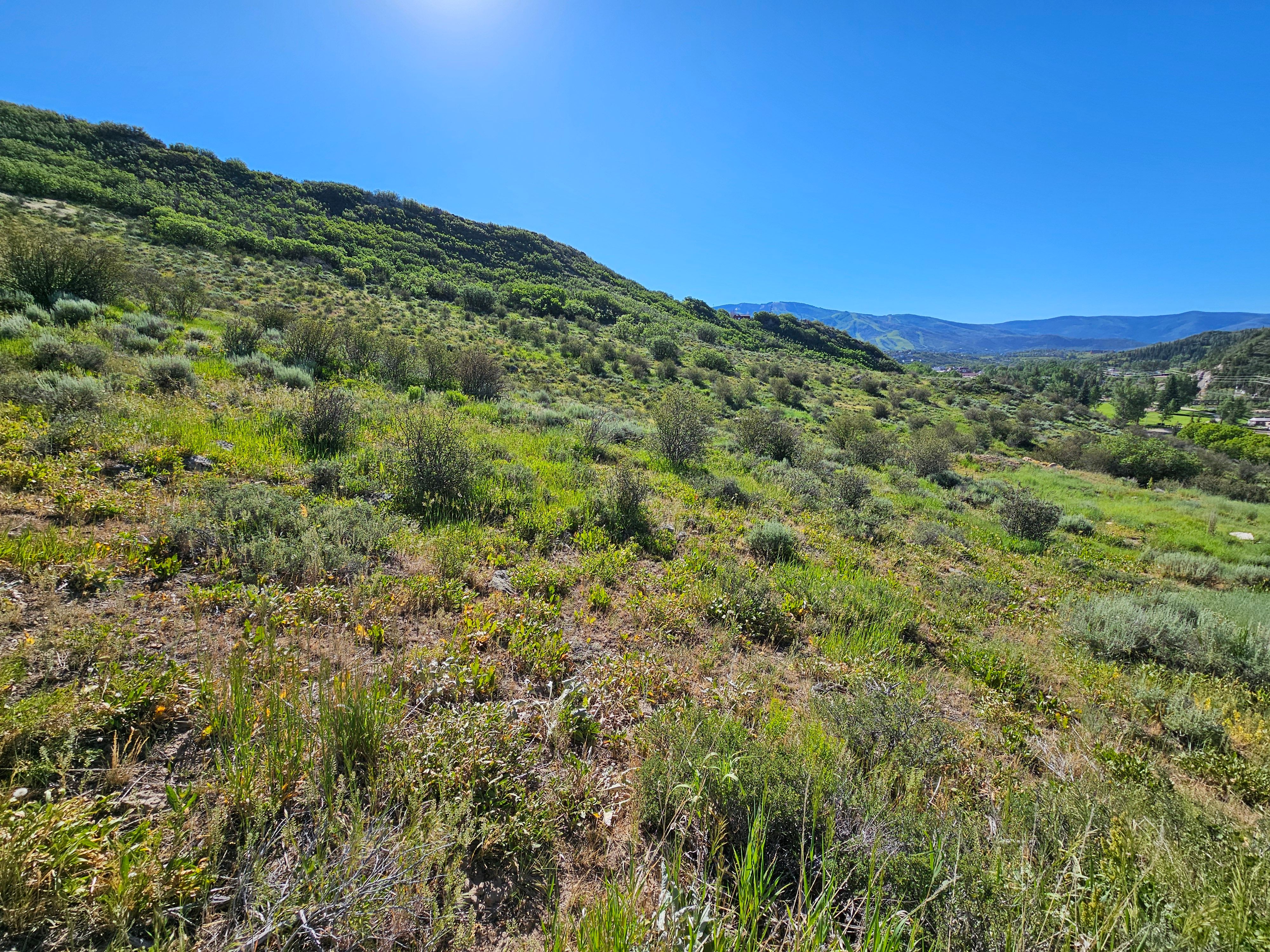 1327 Indian Trail, Steamboat Springs, CO, 80487 - 物件實景